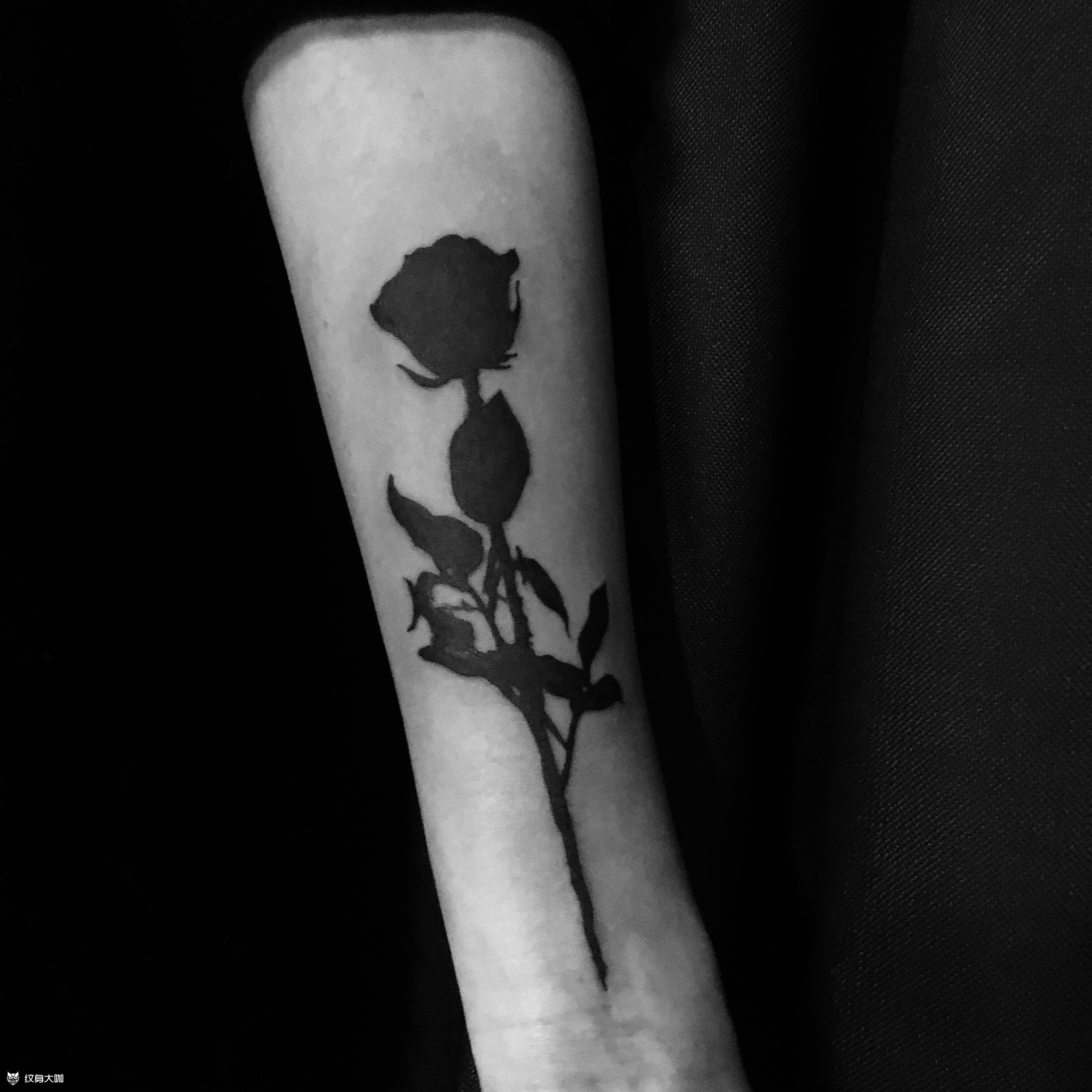 黑玫瑰_纹身图案手稿图片_如是我纹的纹身作品集