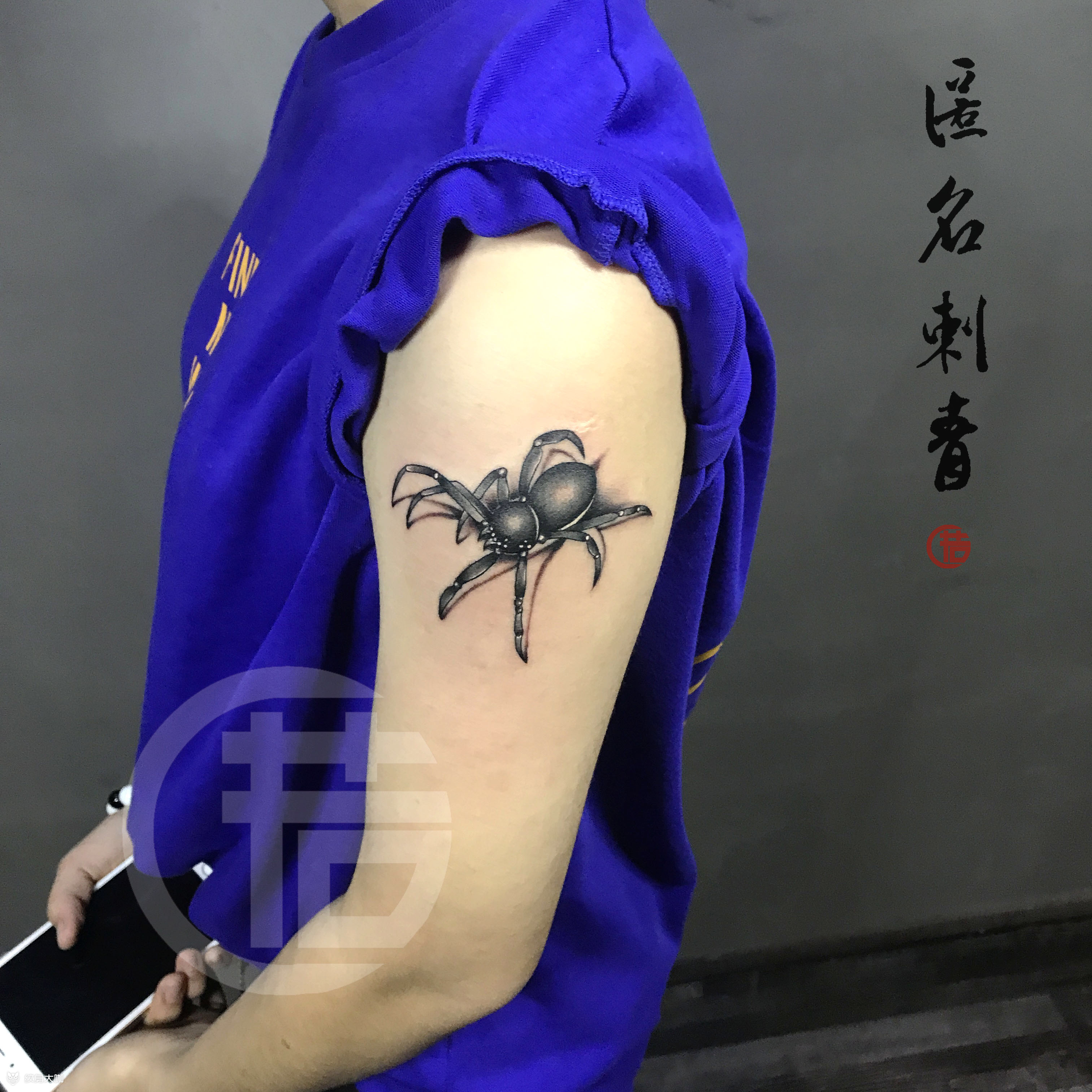 3 d蜘蛛_纹身图案手稿图片_钟潮的纹身作品集