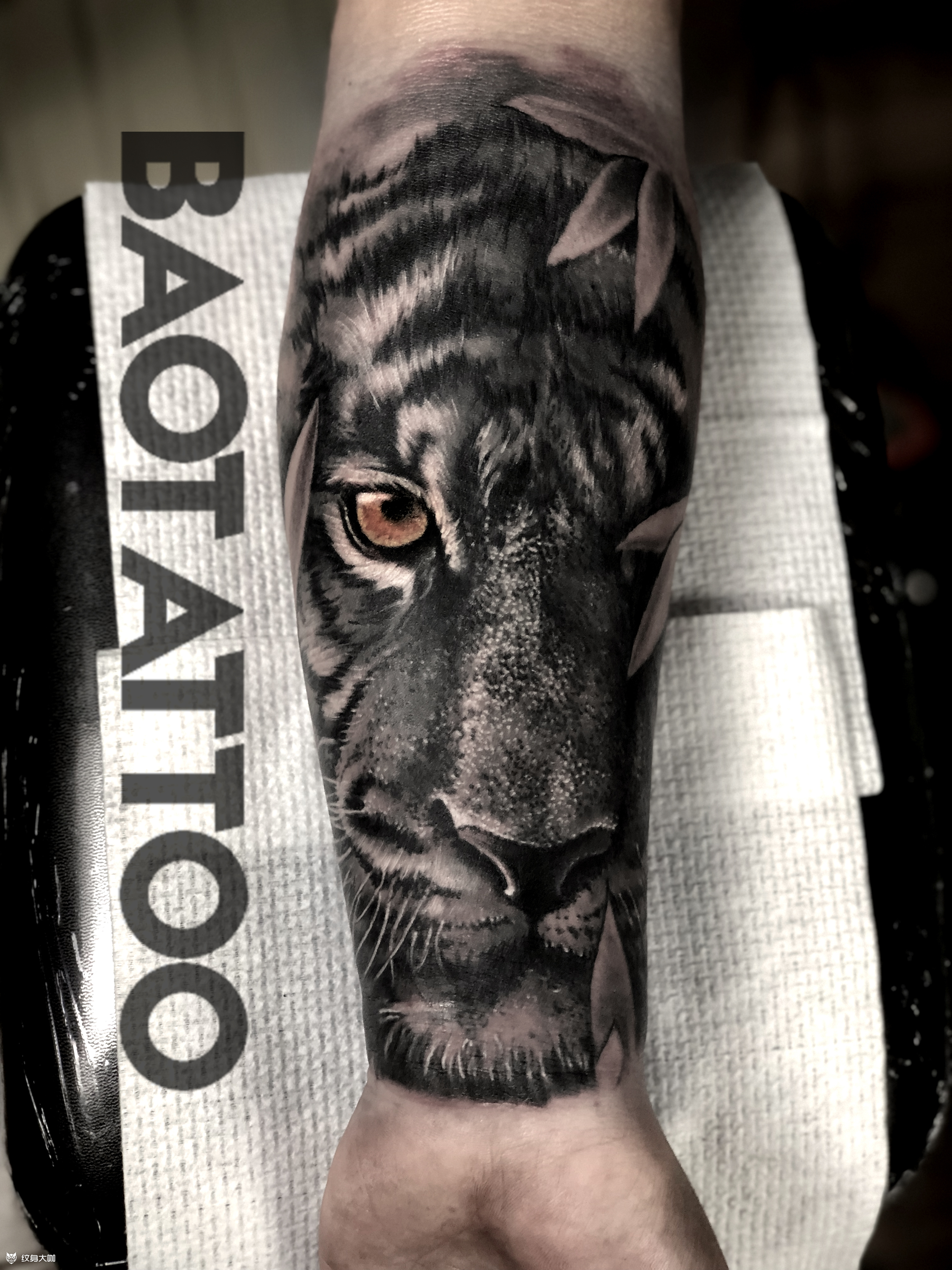 欧美写实老虎_纹身图案手稿图片_小宝的纹身作品集