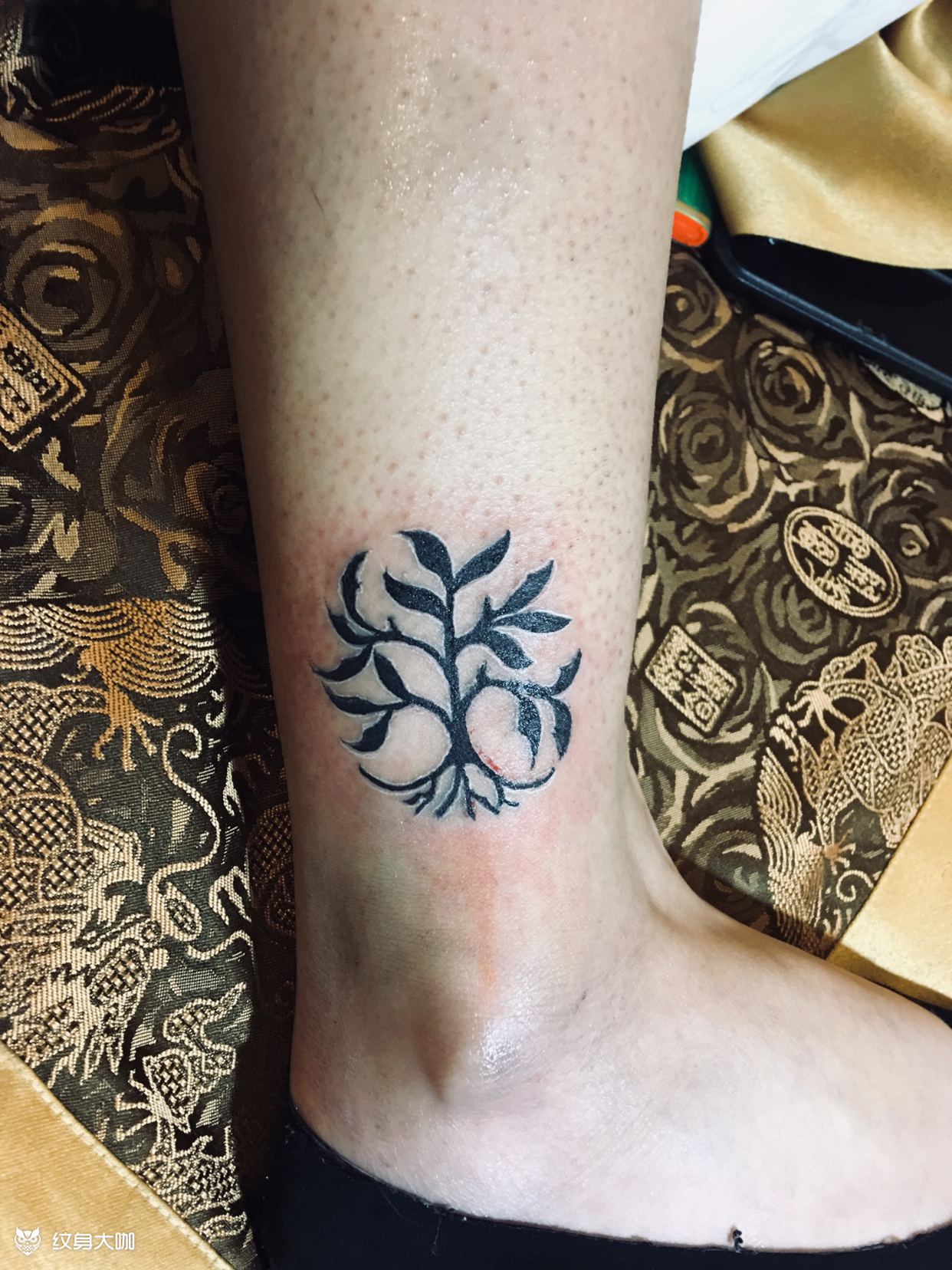 生命之树_纹身图案手稿图片_大志的纹身作品集