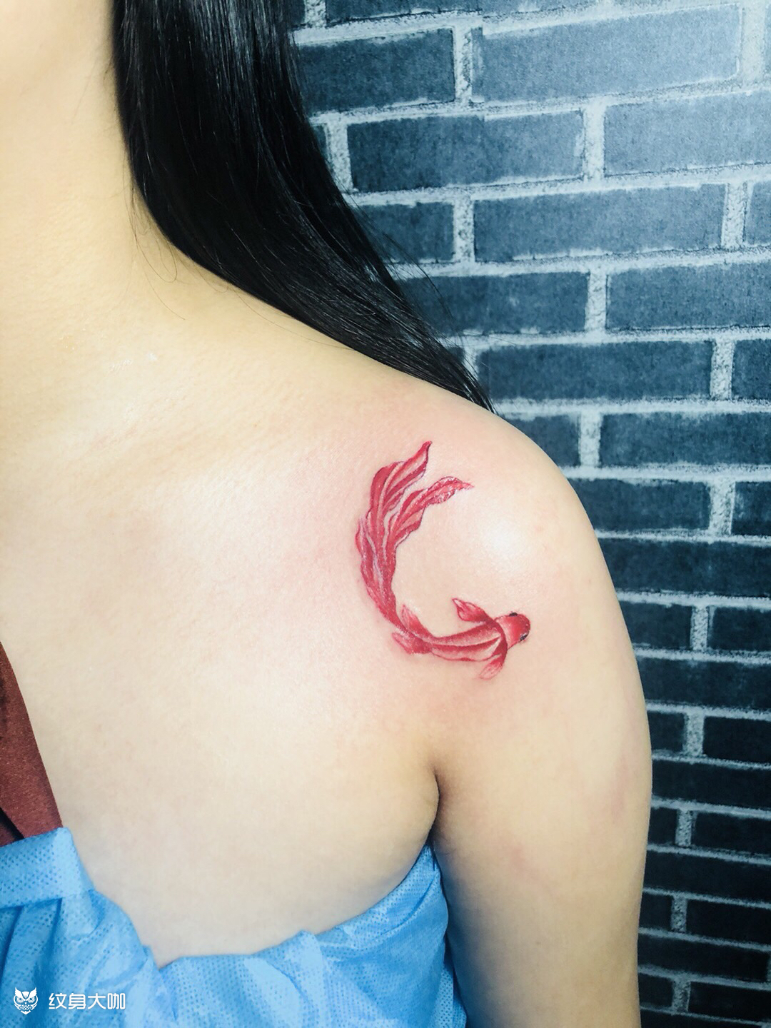 肩胛骨小鲤鱼_纹身图案手稿图片_梅梅的纹身作品集
