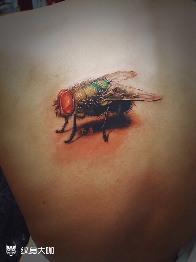 14年作品,苍老大,蝇_纹身图案手稿图片_大海的纹身作品集