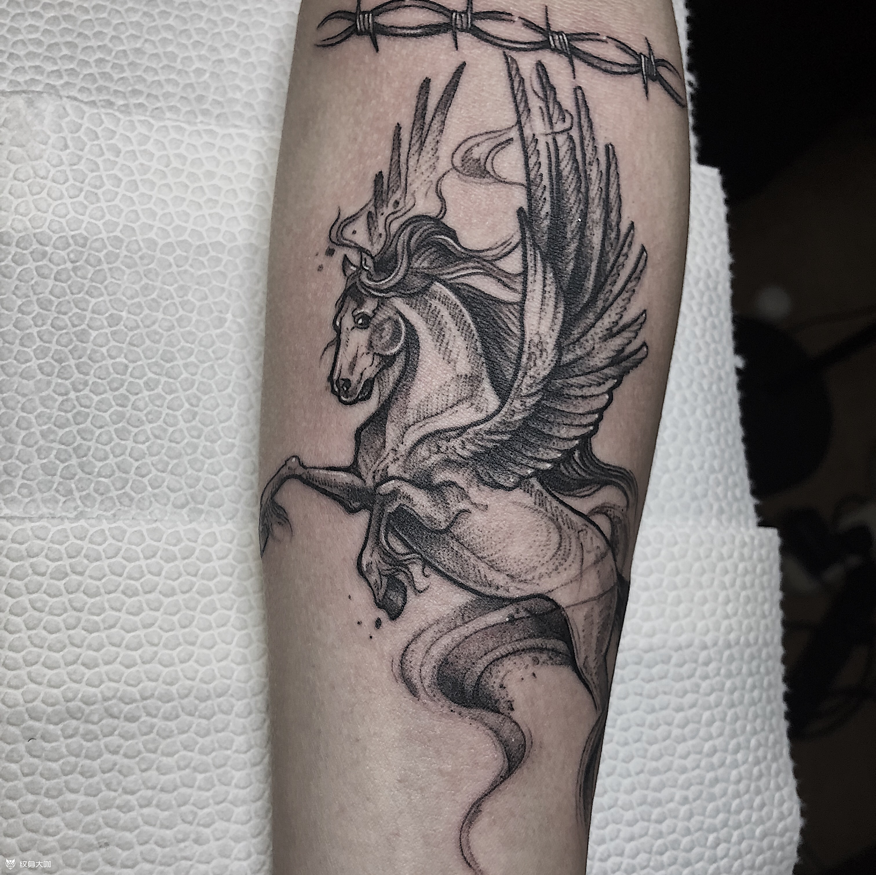 天马_纹身图案手稿图片_徐阁的纹身作品集