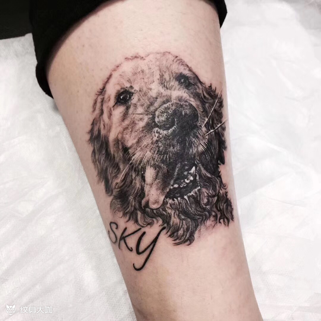 金毛狗狗_纹身图案手稿图片_农夫山泉的纹身作品集
