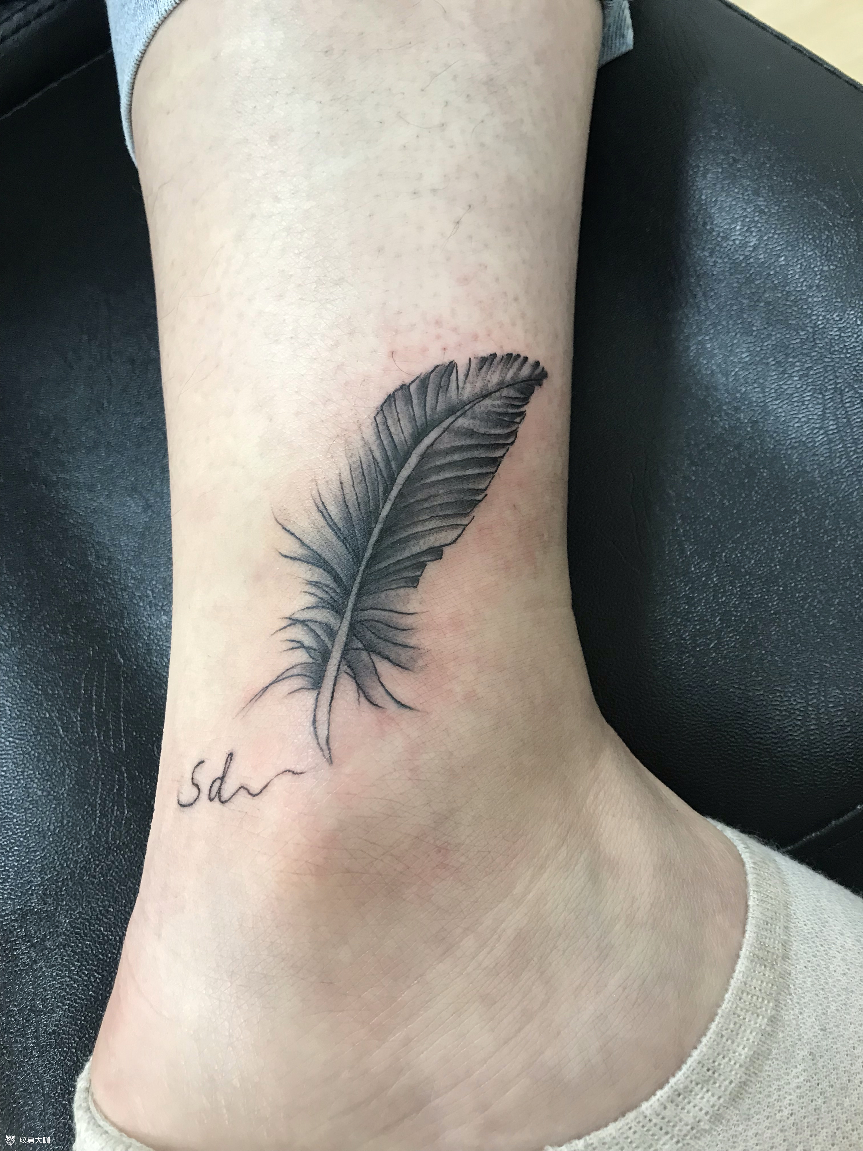 羽毛_纹身图案手稿图片_周北笙的纹身作品集