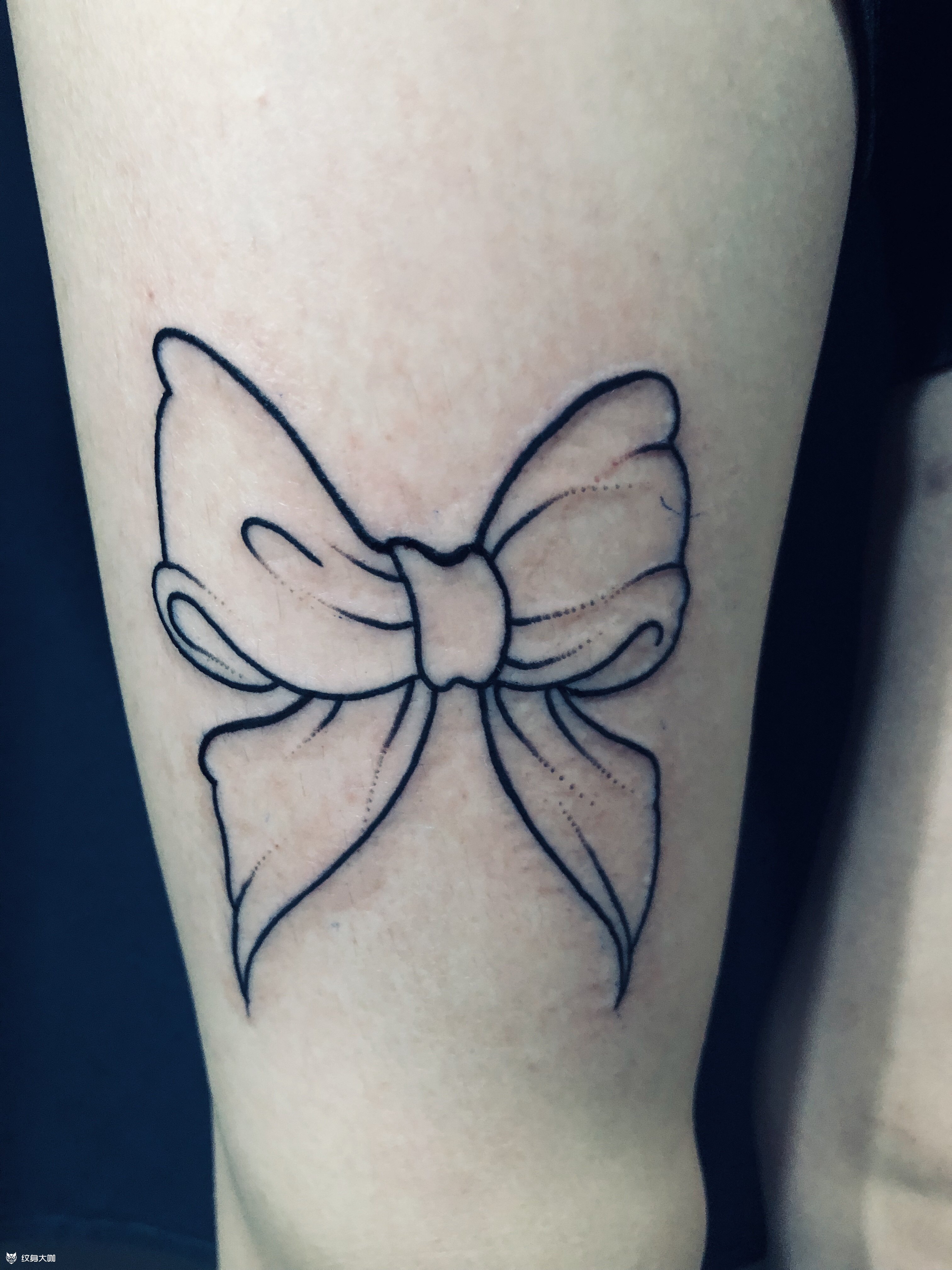 蝴蝶结_纹身图案手稿图片_刘鹏的纹身作品集