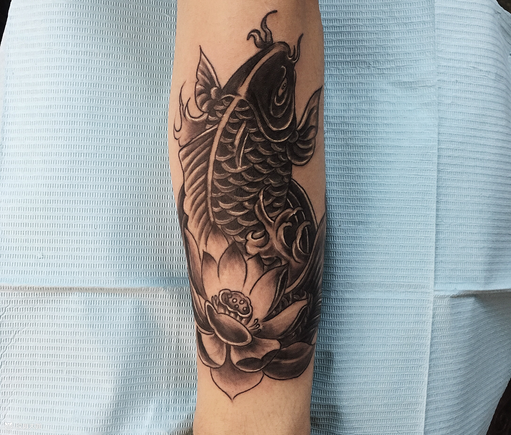 笑小臂招财锦鲤_纹身图案手稿图片_针舞堂的纹身作品集