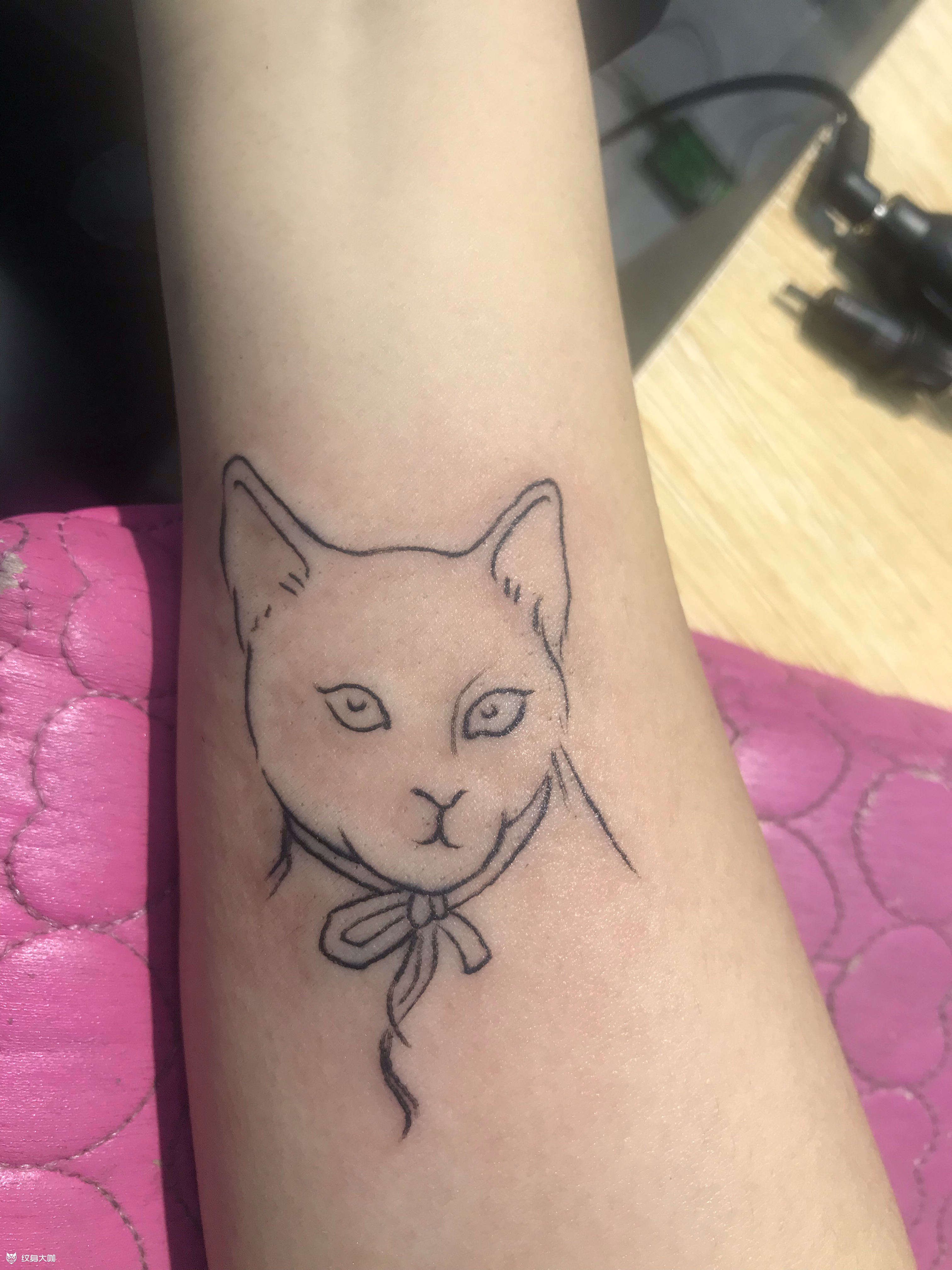 猫咪_纹身图案手稿图片_倪壮胜的纹身作品集