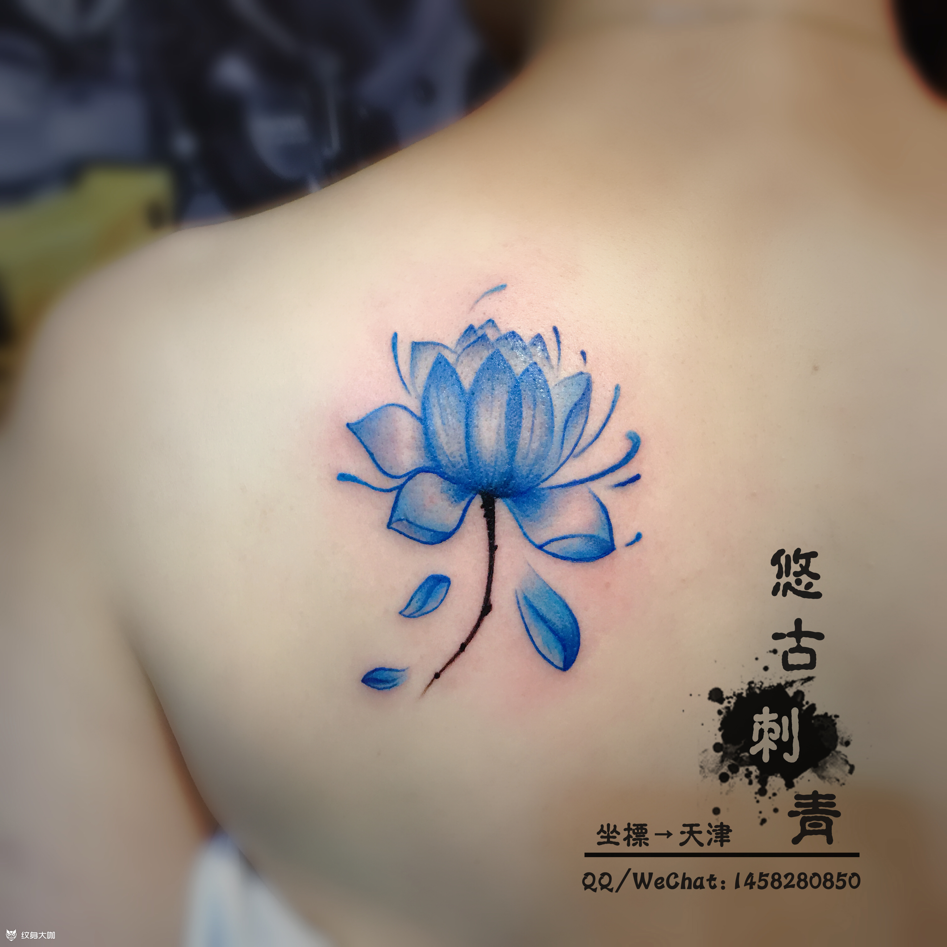 蓝莲花_纹身图案手稿图片_虫一的纹身作品集
