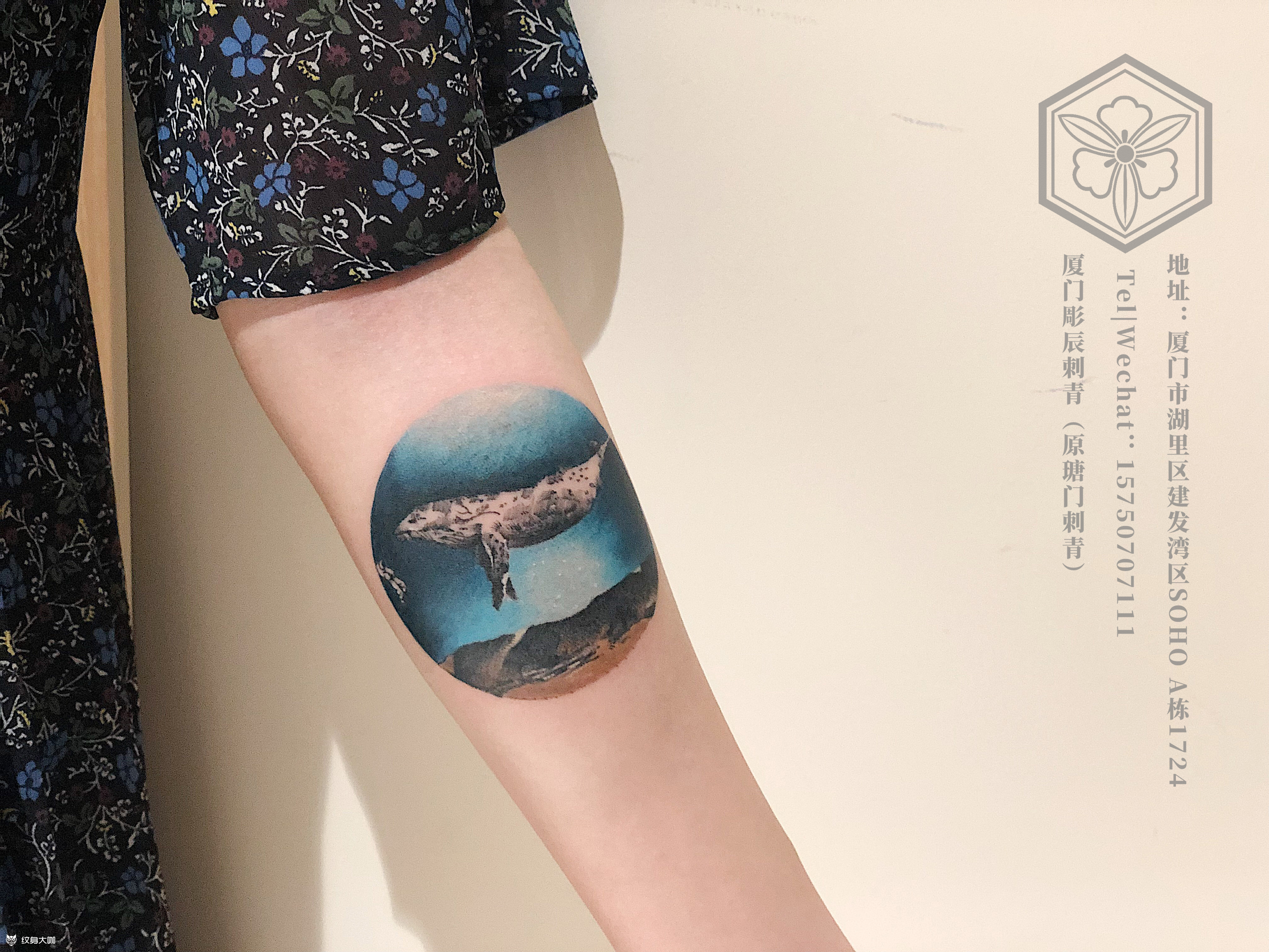 彩色鲸鱼_纹身图案手稿图片_dc的纹身作品集