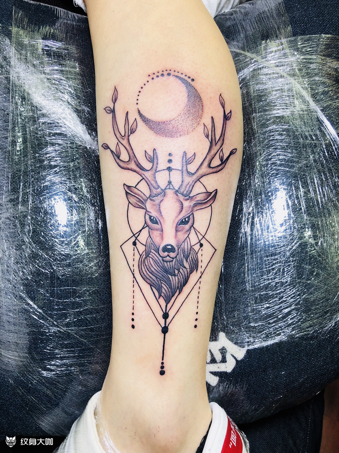 鹿04_纹身图案手稿图片_盛剑波的纹身作品集