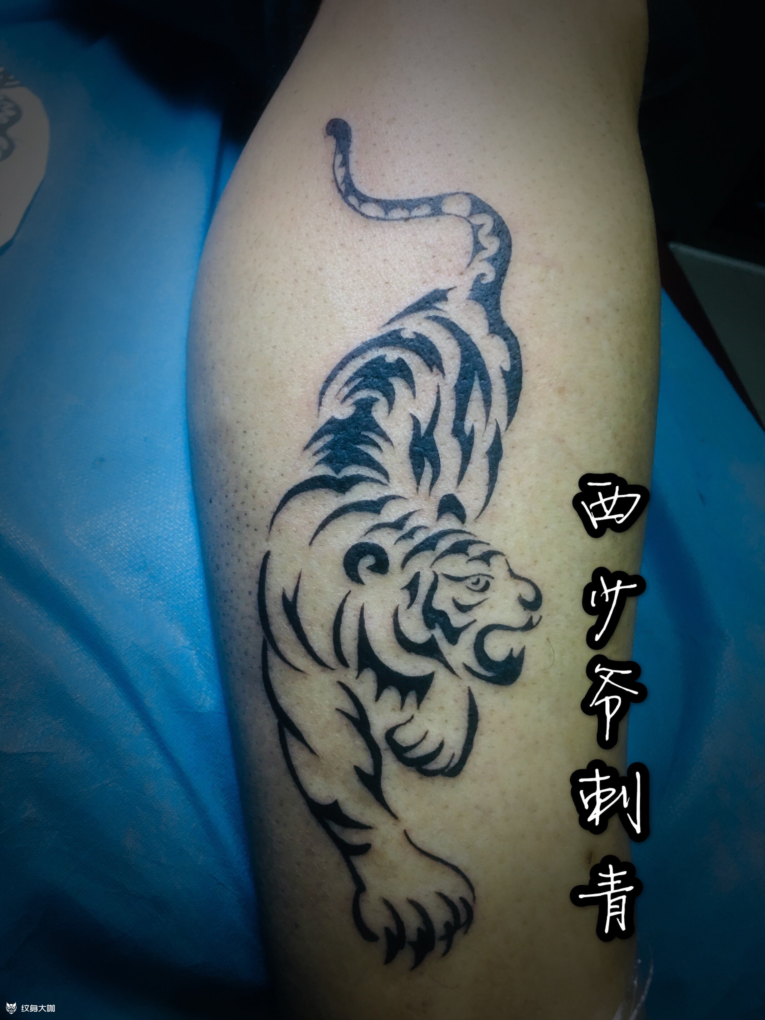 老虎_纹身图案手稿图片_李勇的纹身作品集