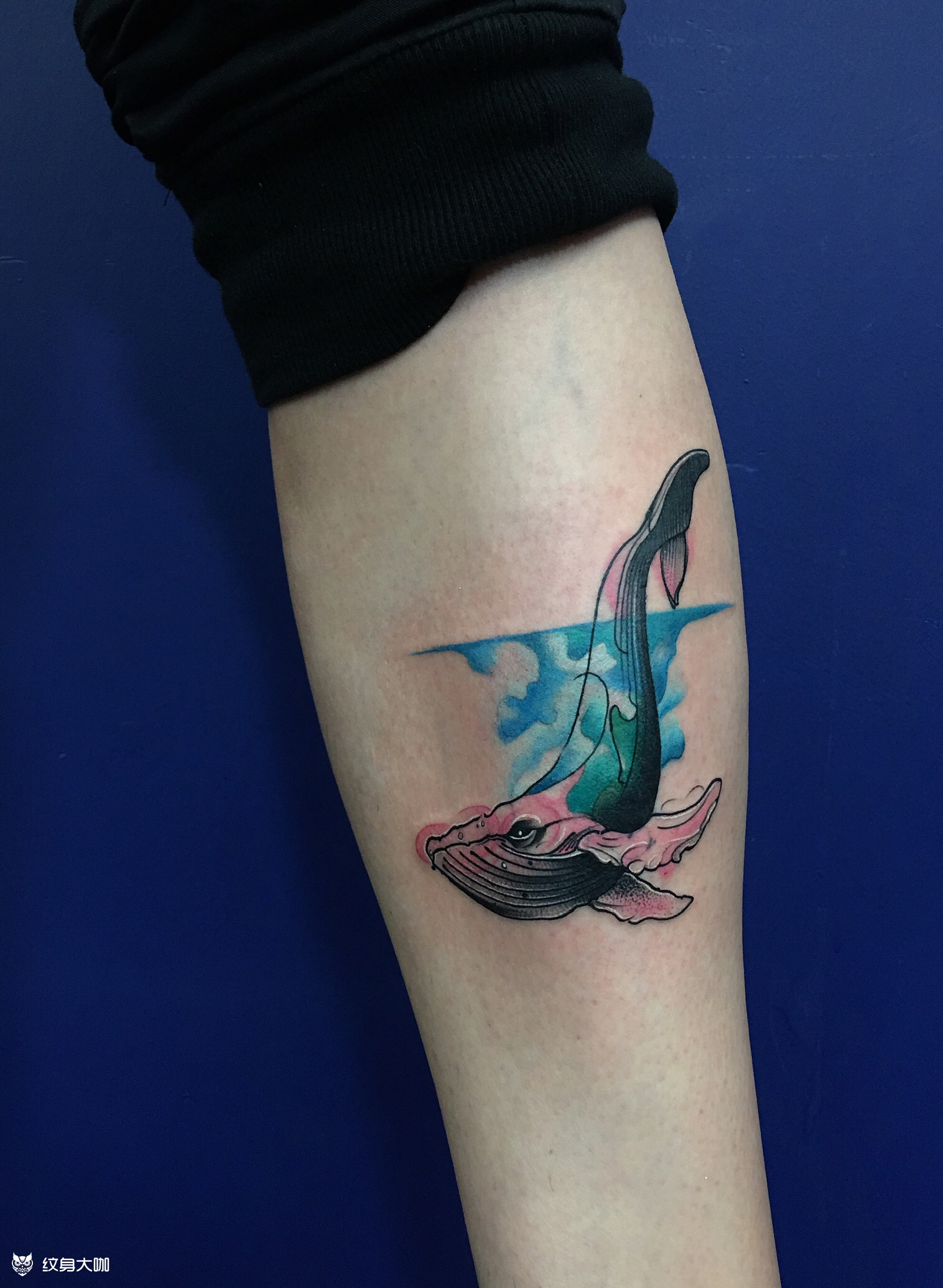 鲸鱼95_纹身图案手稿图片_海洋的纹身作品集