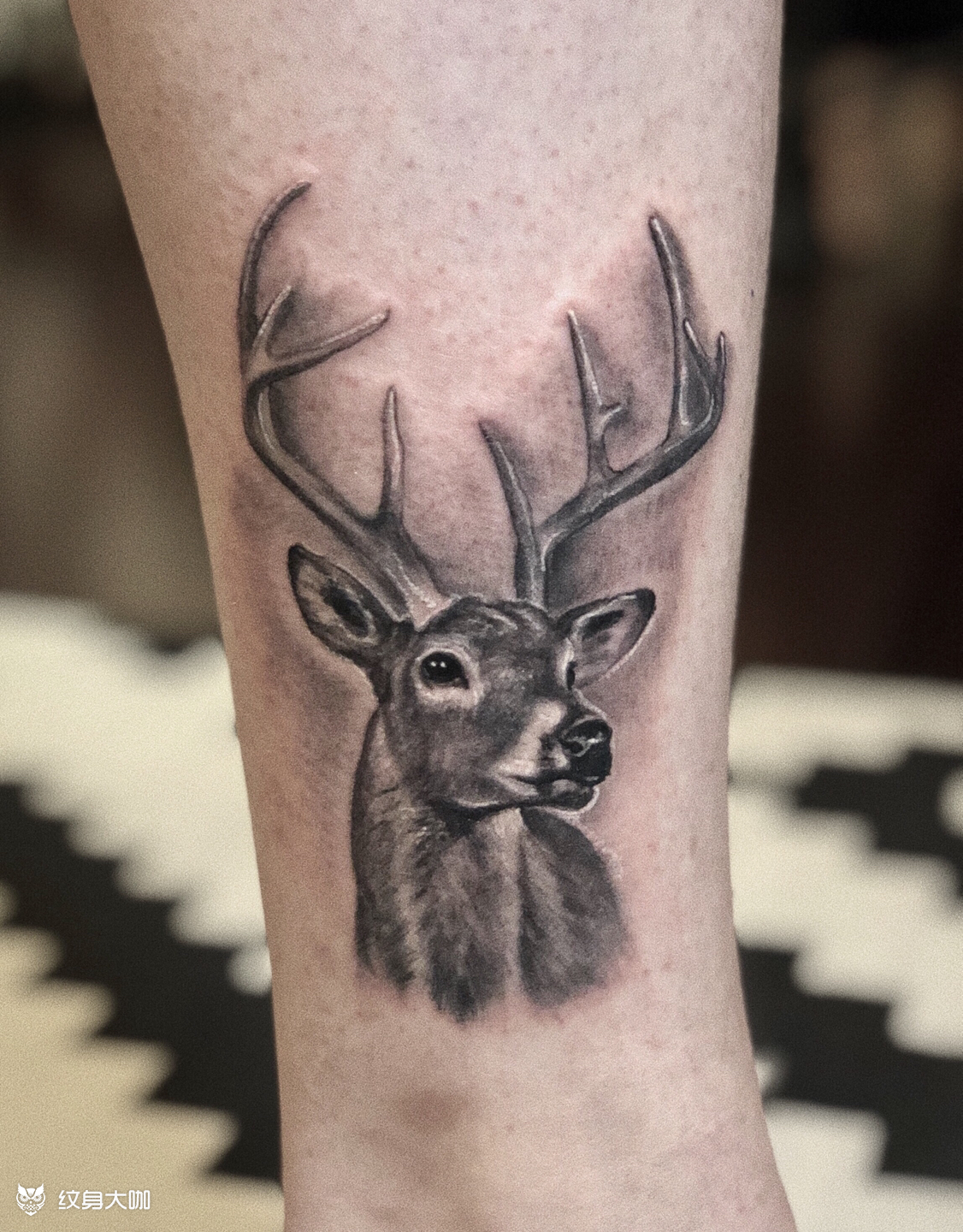 小鹿(10cm)_纹身图案手稿图片_丁子牛的纹身作品集