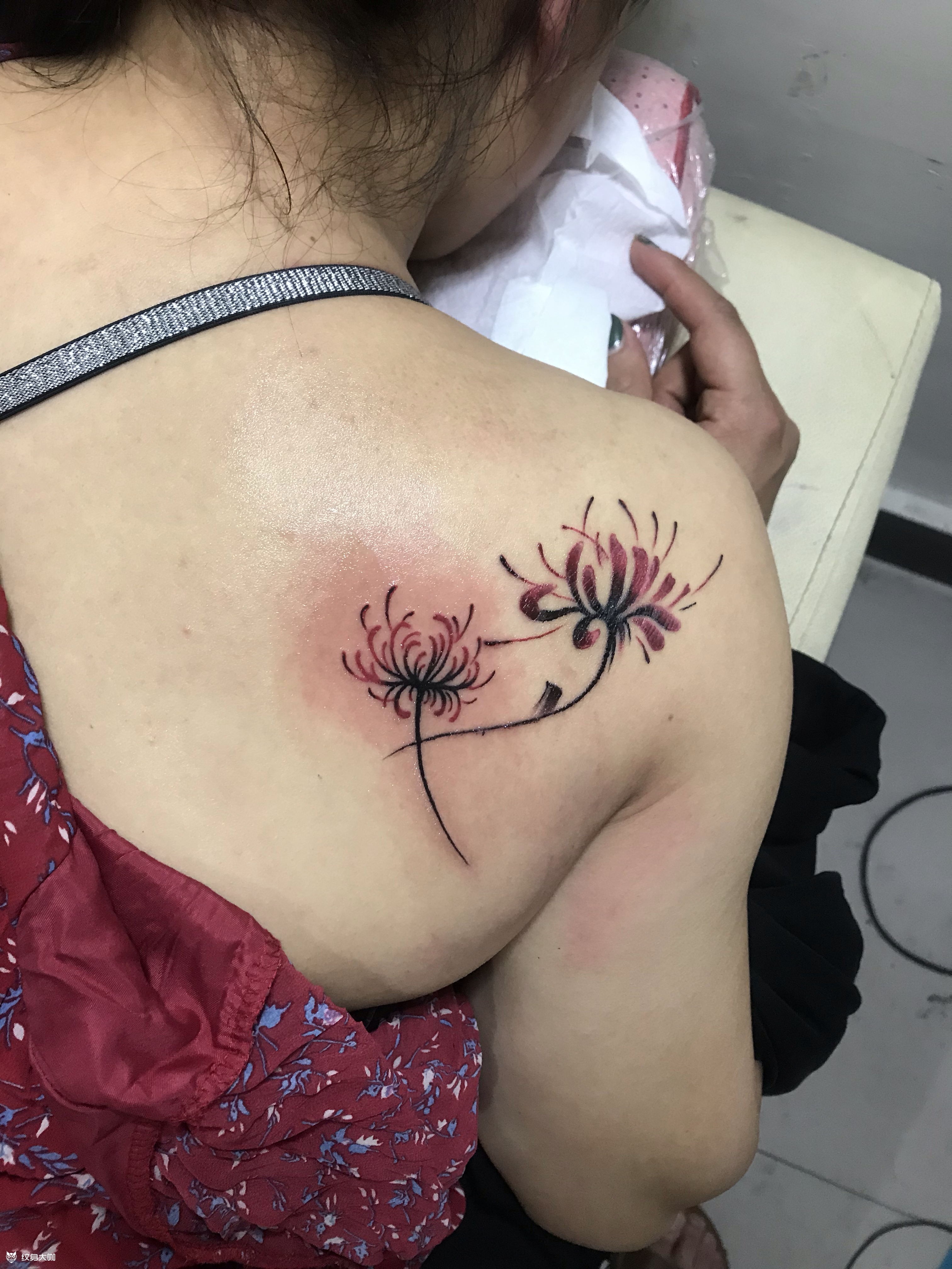 彼岸花_纹身图案手稿图片_文道兄的纹身作品集