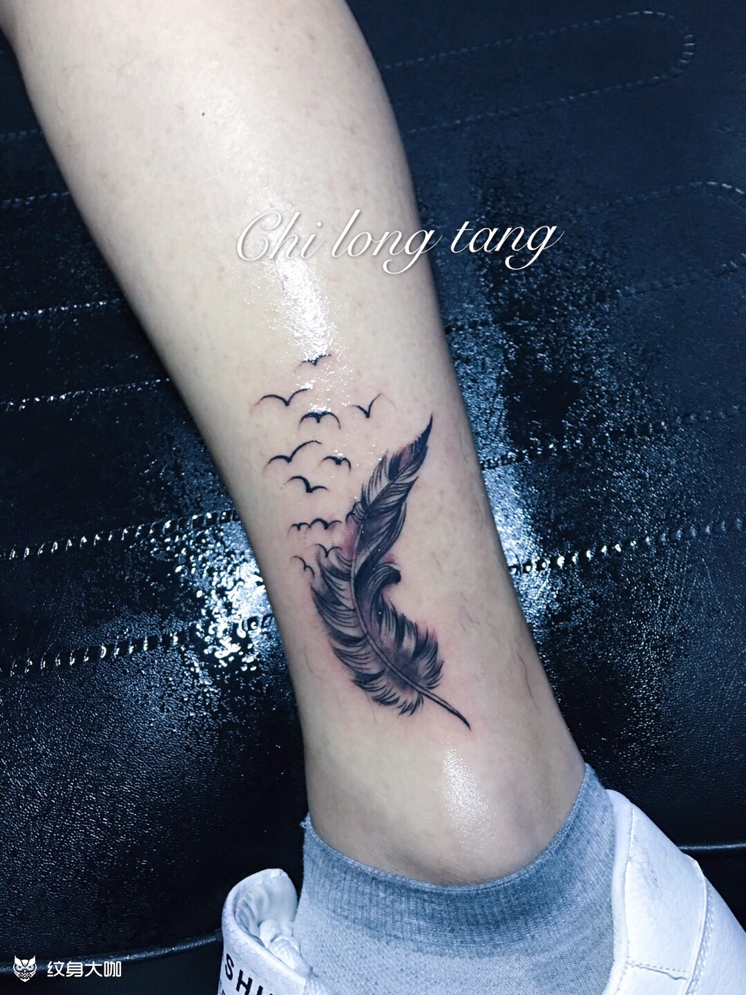 脚腕羽毛幻化_纹身图案手稿图片_首席 明哥的纹身作品集