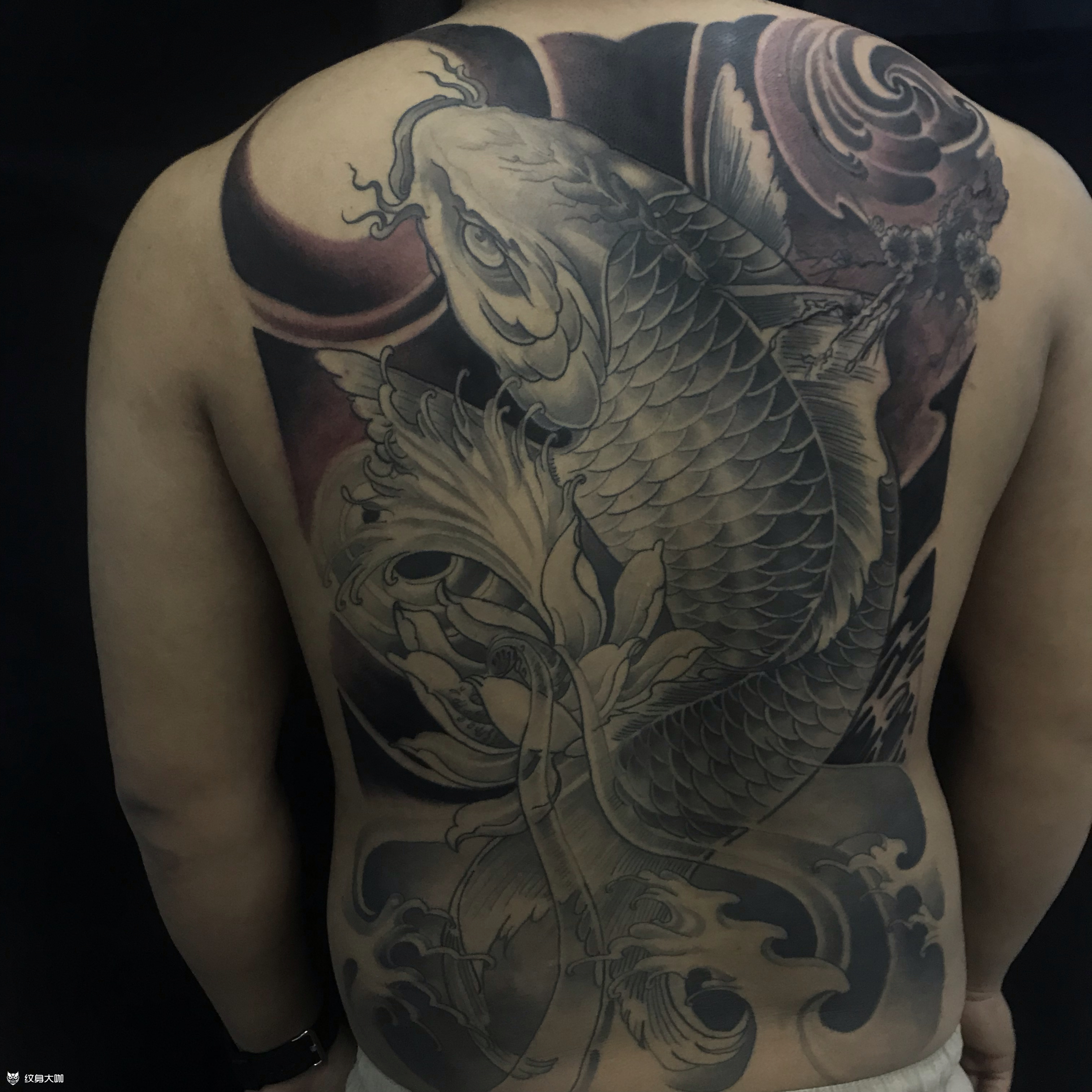 满背鱼_纹身图案手稿图片_勾陈的纹身作品集