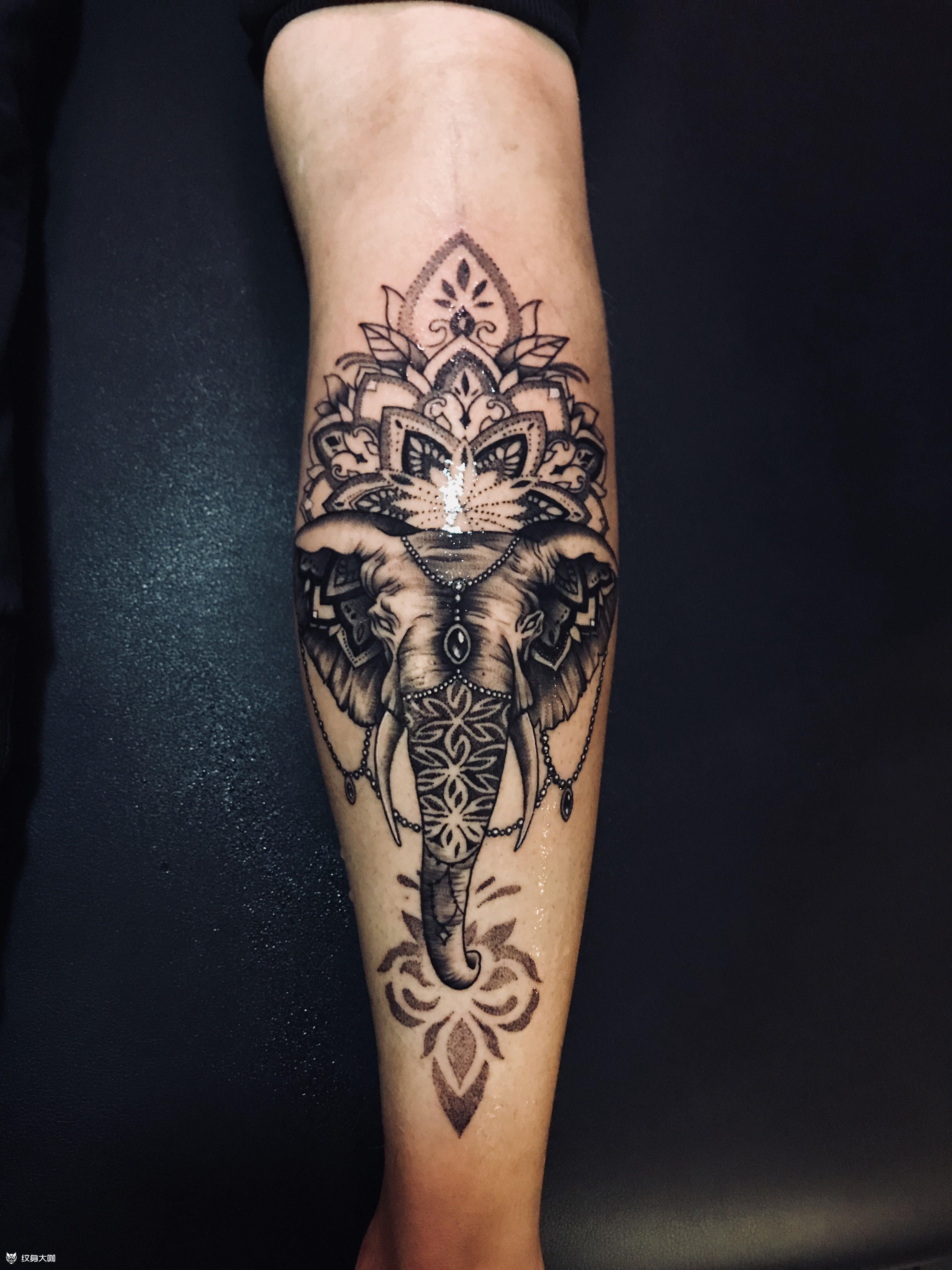 象神_纹身图案手稿图片_姜天娇的纹身作品集