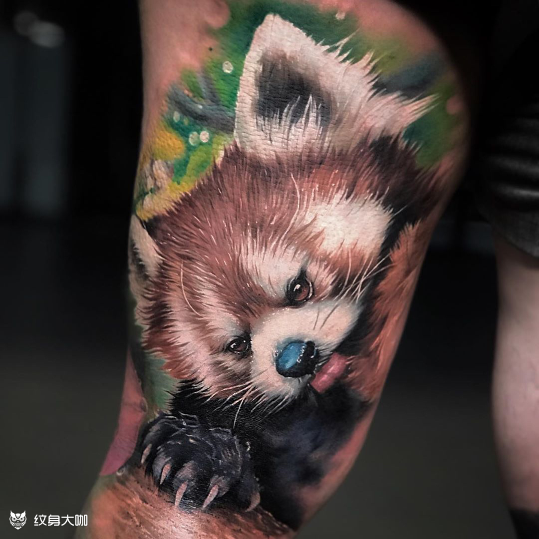 小熊猫_纹身图案手稿图片_sandra daukshta的纹身作品集
