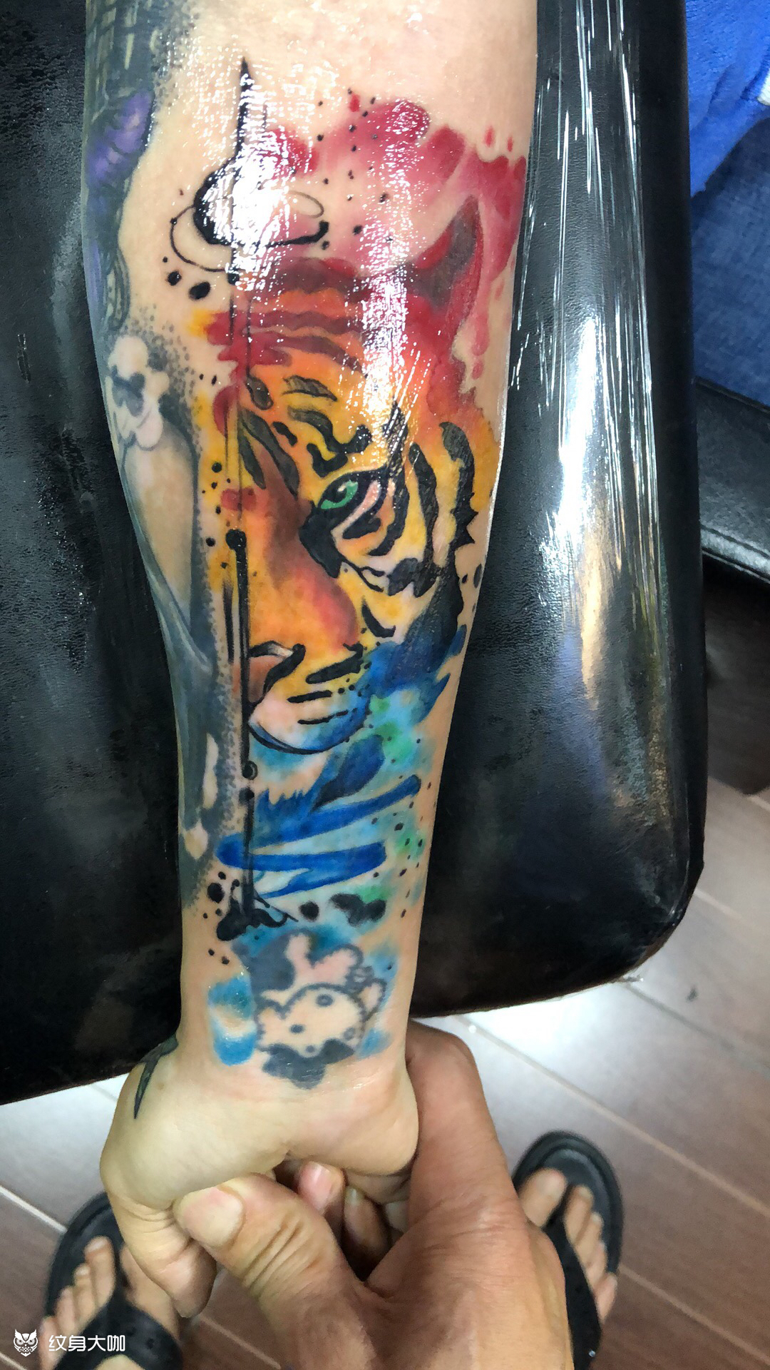 水彩虎头_纹身图案手稿图片_陈泽荣的纹身作品集