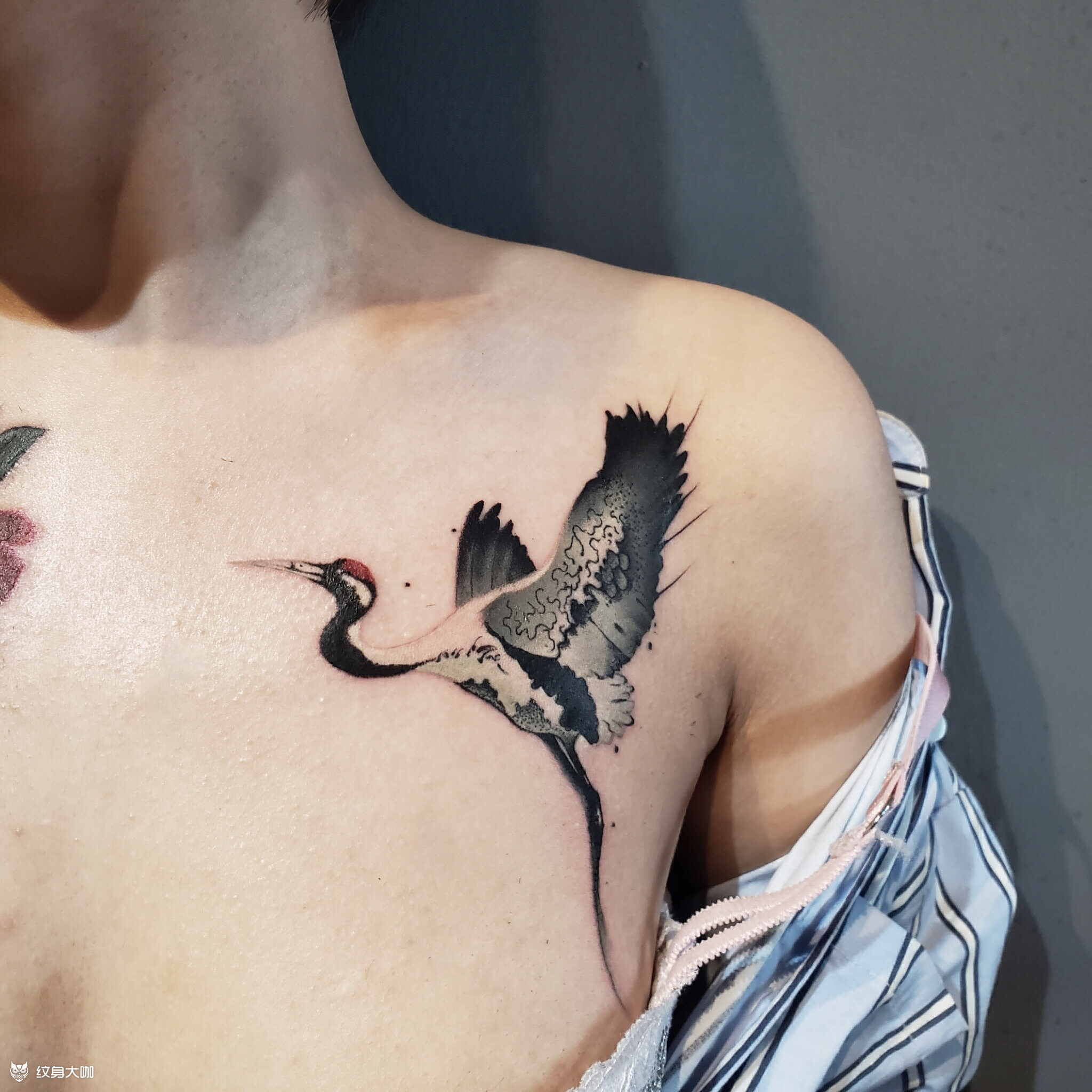 仙鹤与海棠_纹身图案手稿图片_墨 者刺 青的纹身作品集