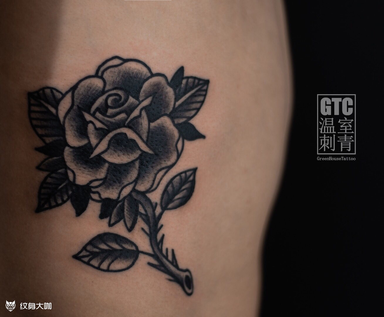 old rose_纹身图案手稿图片_易力的纹身作品集