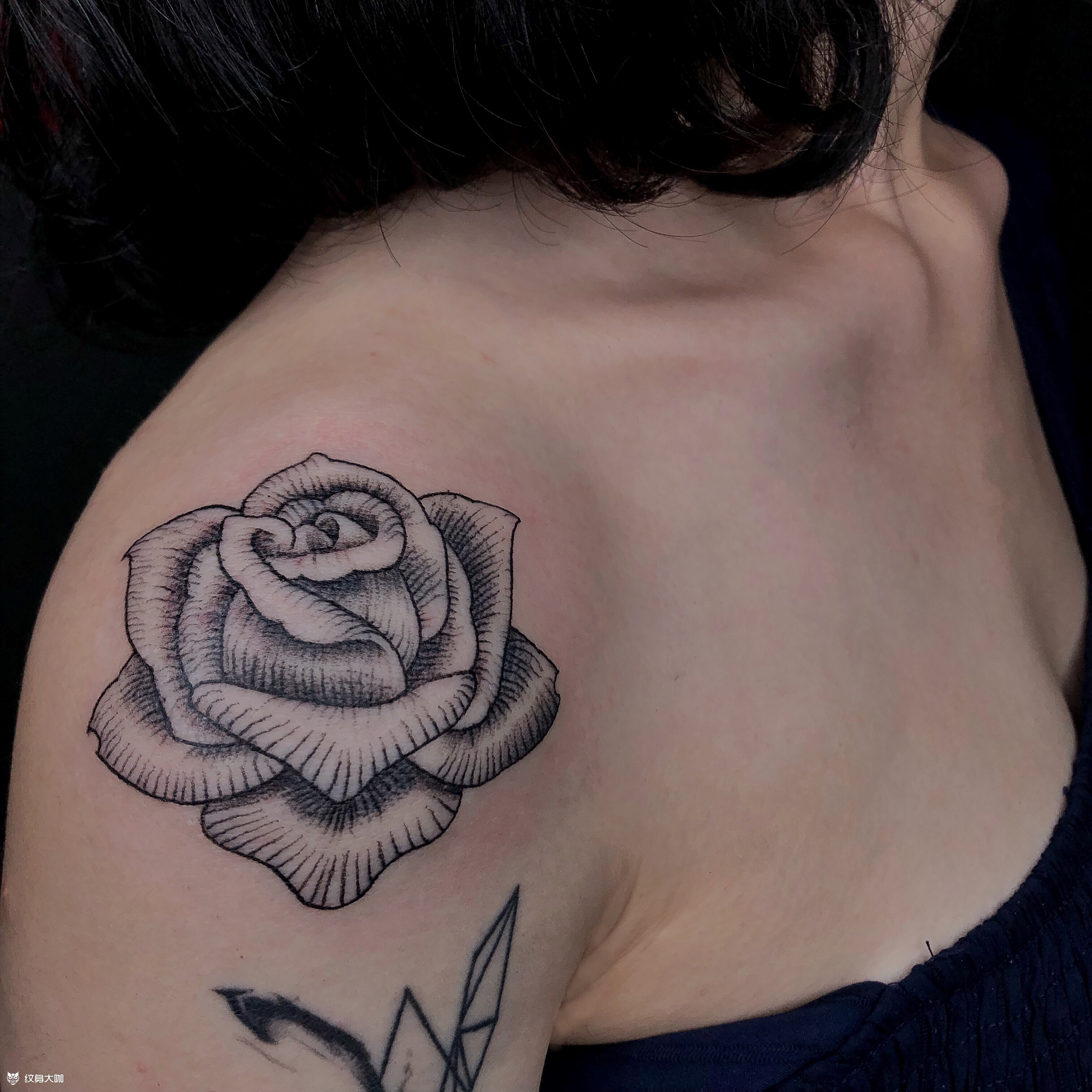 月季_纹身图案手稿图片_lisa的纹身作品集