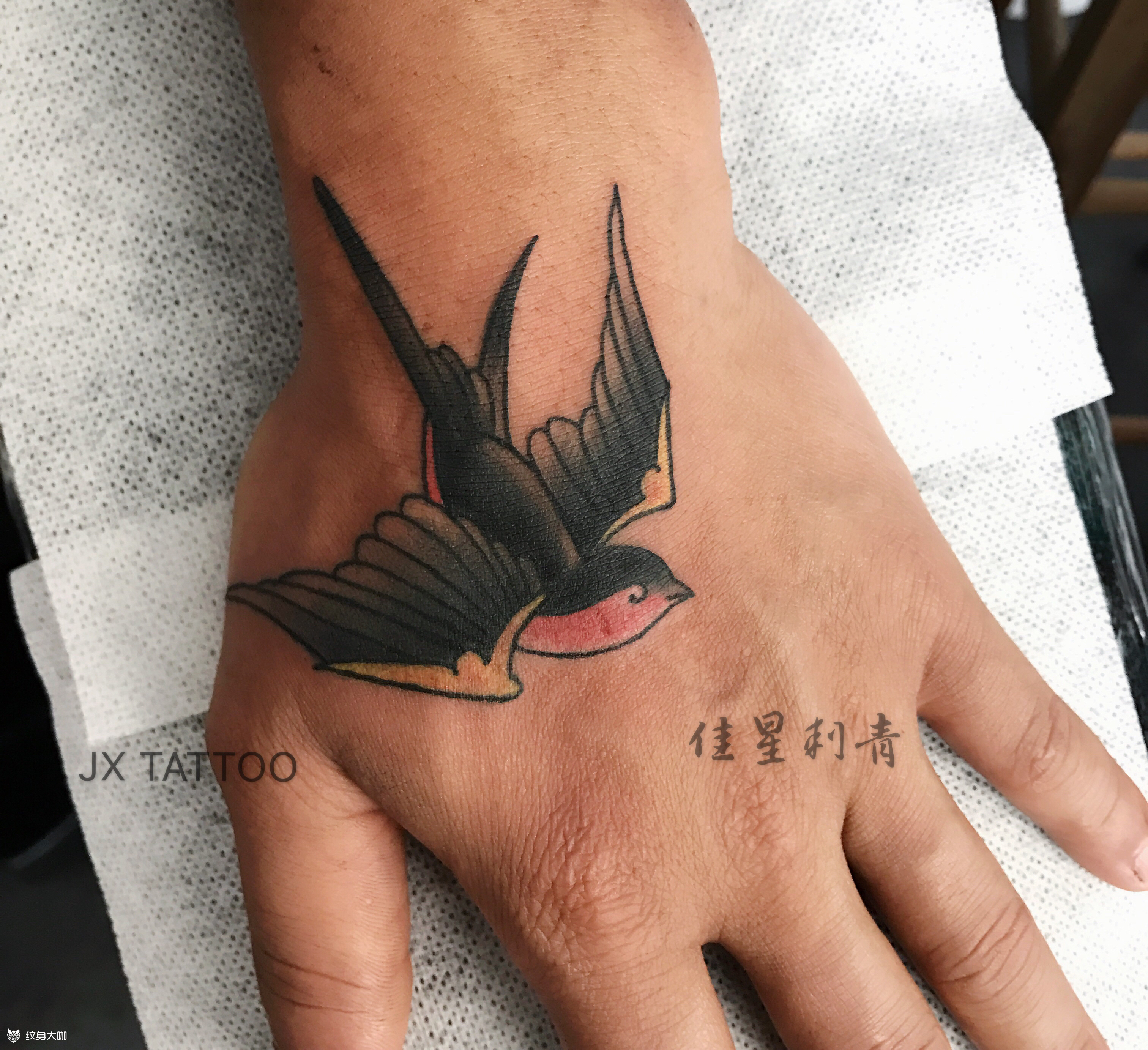 手背燕子_纹身图案手稿图片_魏佳星的纹身作品集