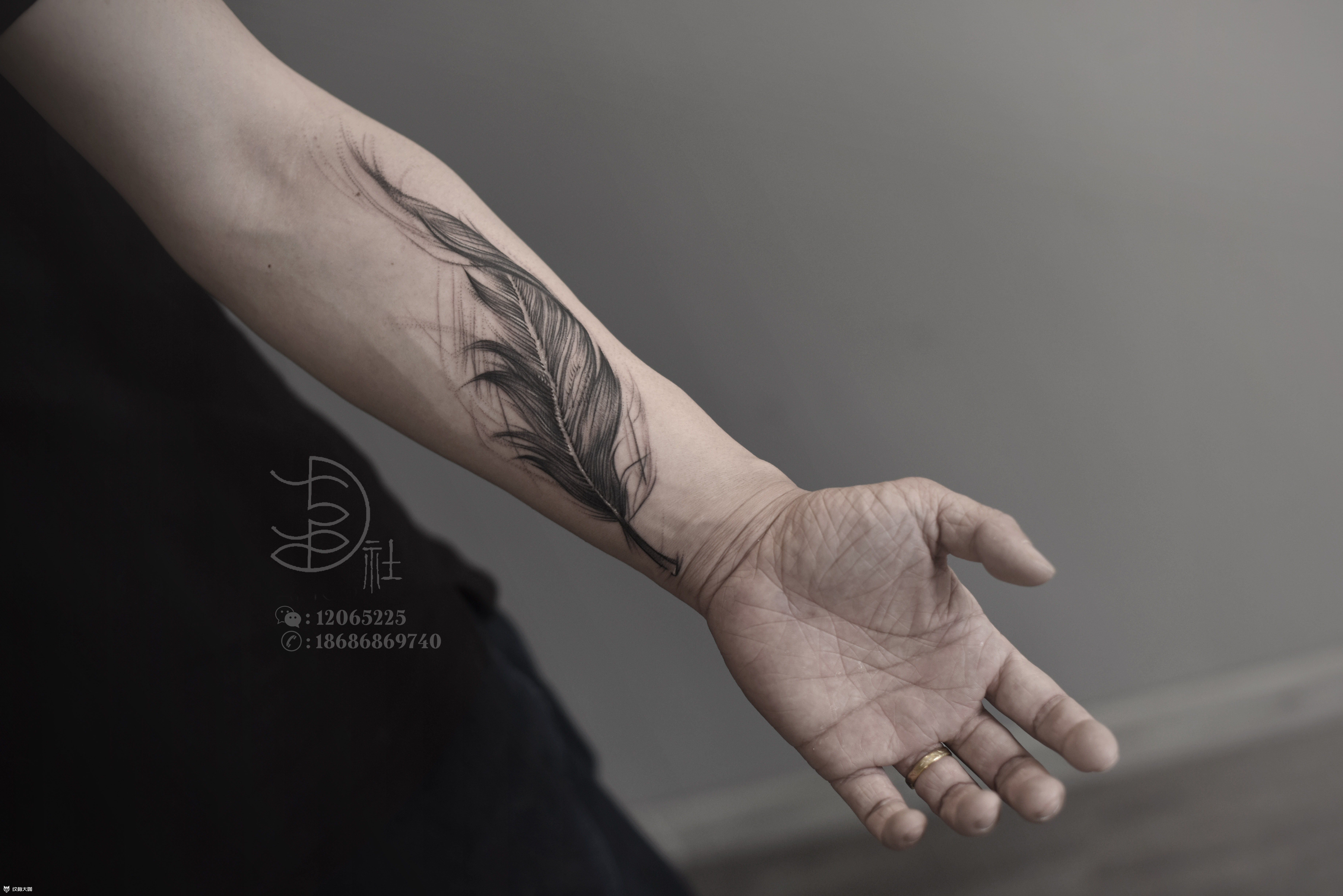 羽毛_纹身图案手稿图片_叁柒社-mr.叁的纹身作品集