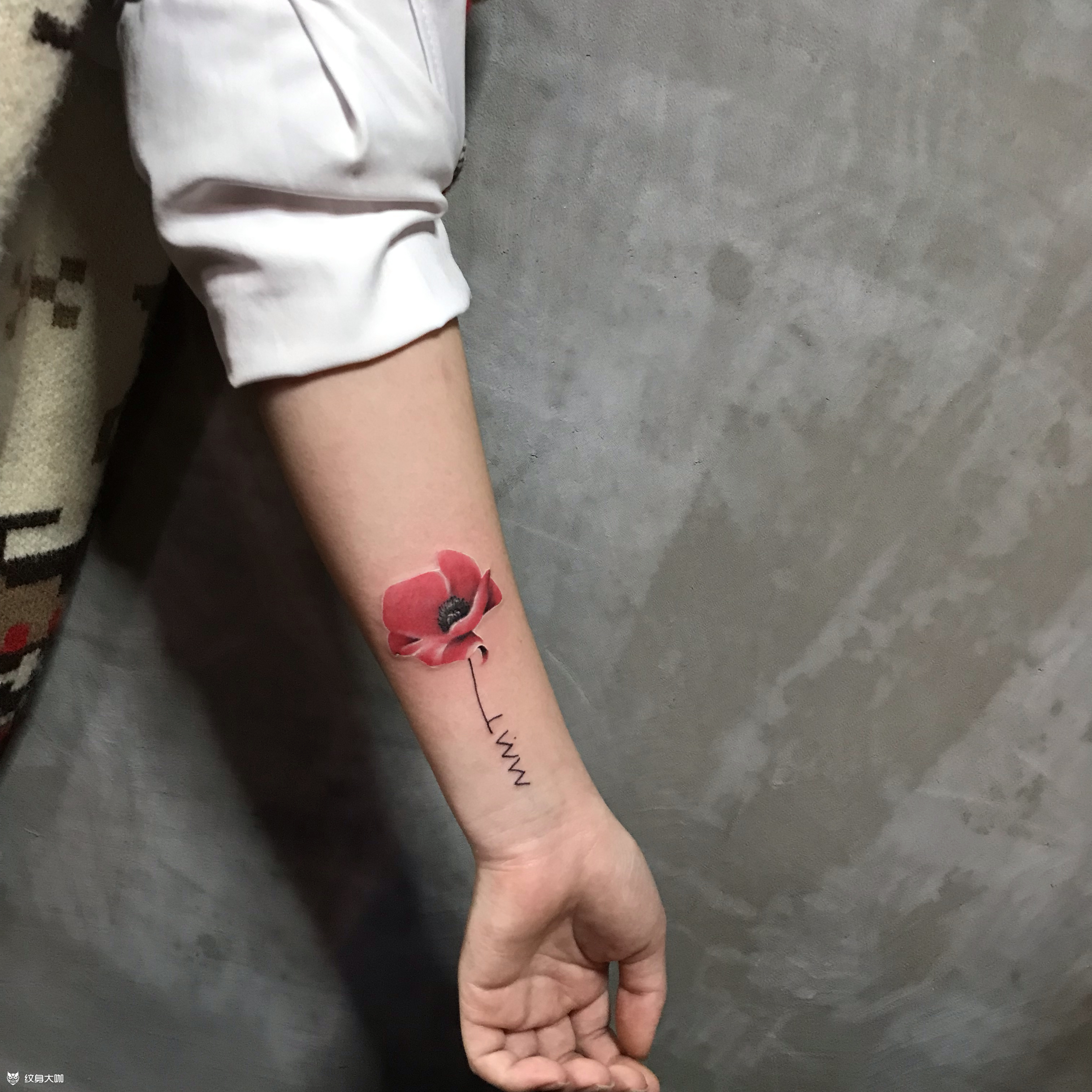 罂粟花_纹身图案手稿图片_针匠的纹身作品集