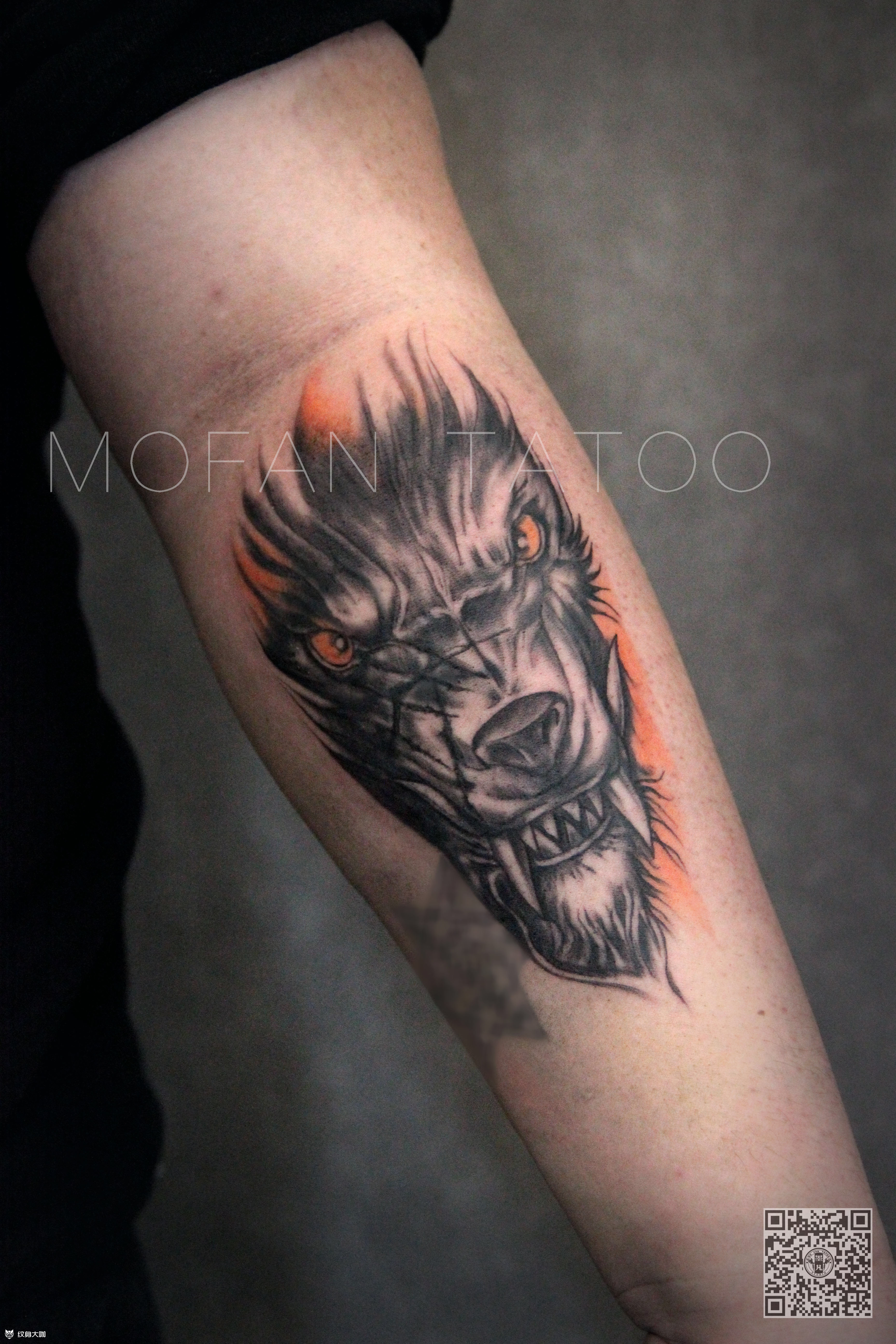 小臂狼头遮盖_纹身图案手稿图片_墨凡nick的纹身作品集