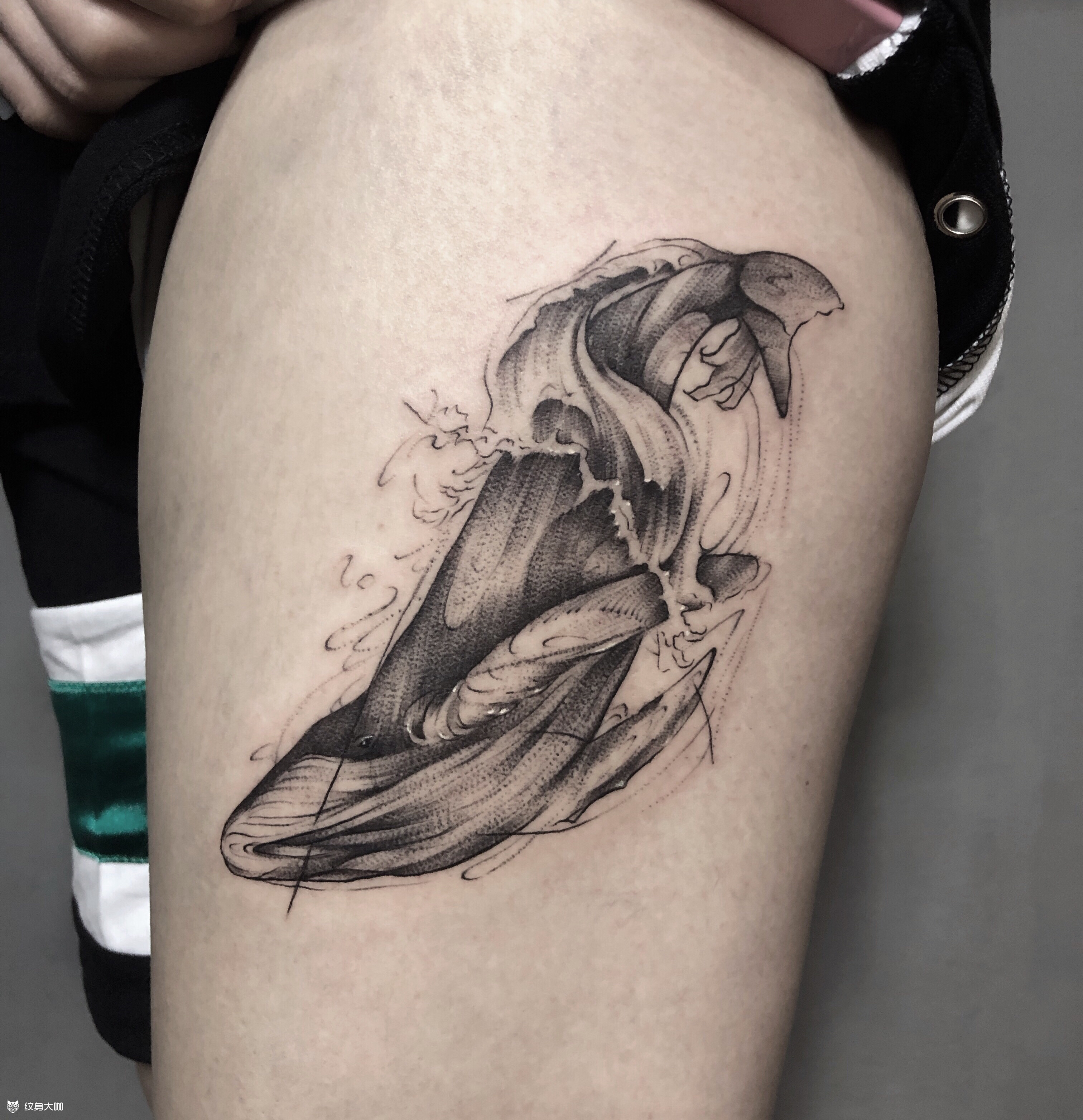 52赫兹的鲸_纹身图案手稿图片_济南炫腾张远的纹身作品集
