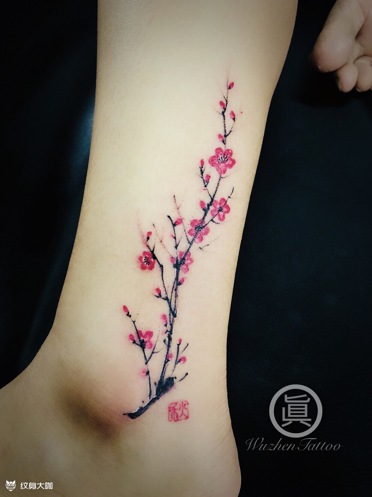 四君子/梅_纹身图案手稿图片_赖智锋的纹身作品集