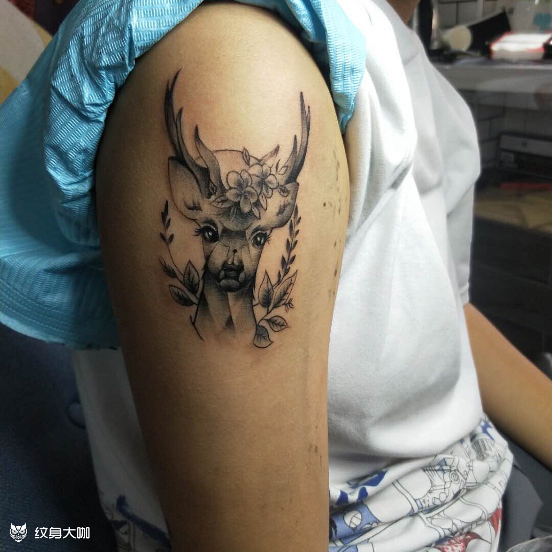 小鹿乱撞_纹身图案手稿图片_海鸥的纹身作品集
