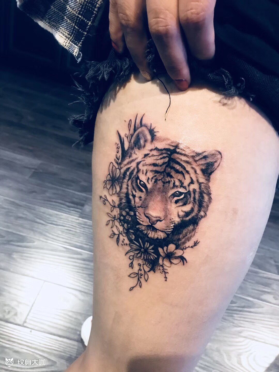 小老虎_纹身图案手稿图片_akah1111的纹身作品集