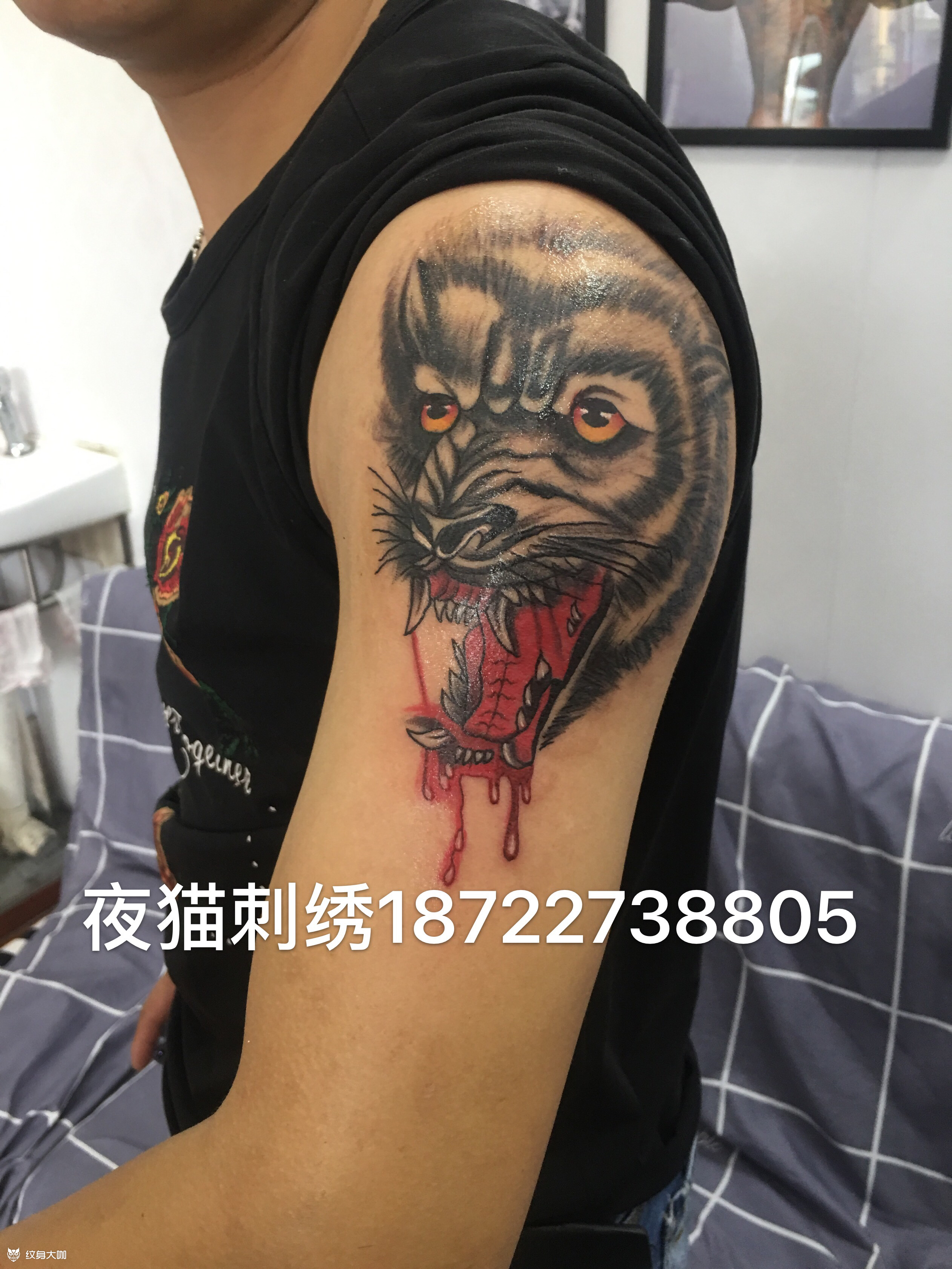 滴血狼頭_紋身圖案手稿圖片_楊刺青 tattoo陽子的紋身作品集