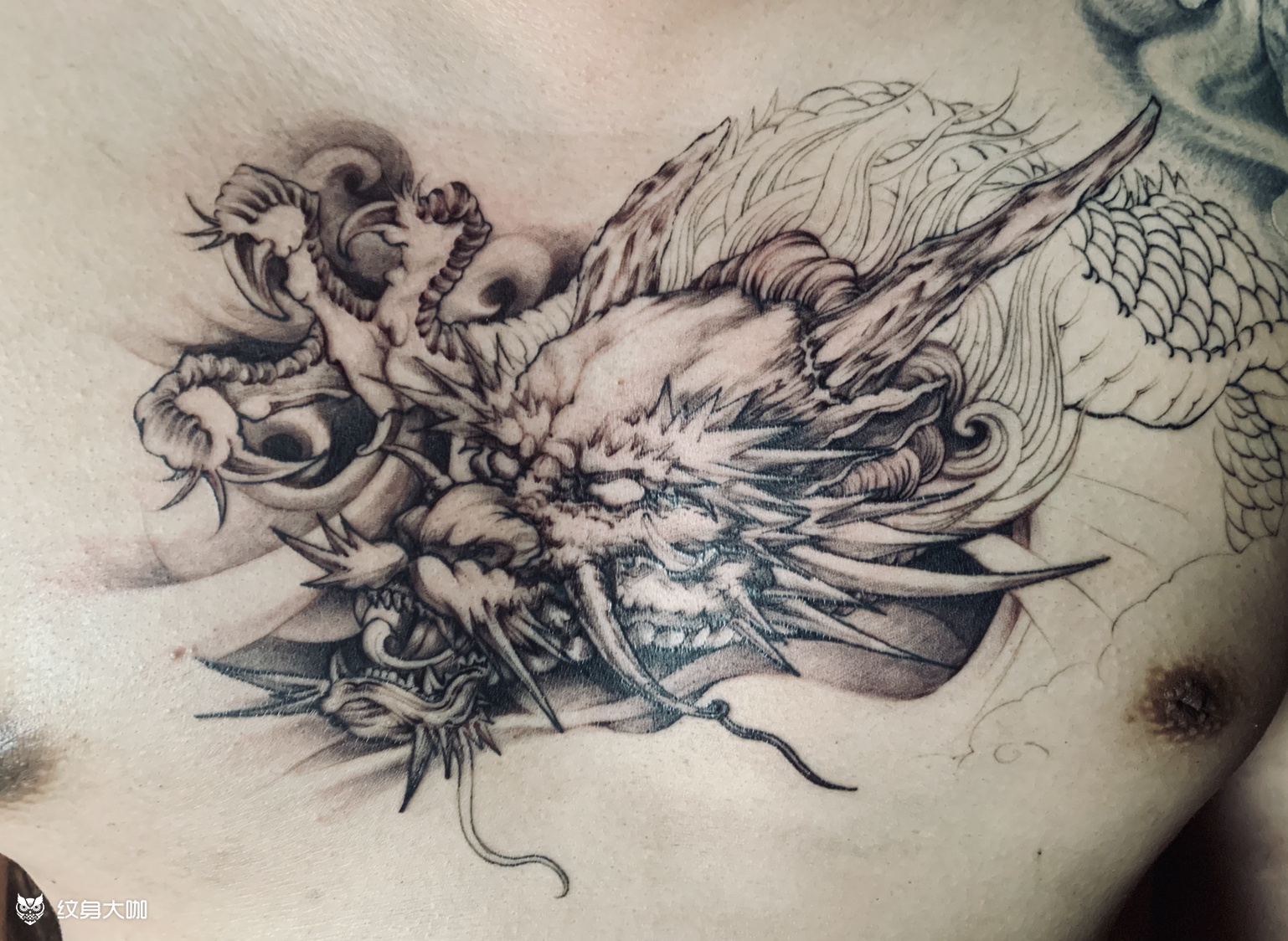 龙胸_纹身图案手稿图片_金子的纹身作品集