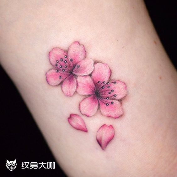樱花_纹身图案手稿图片_冯猛的纹身作品集