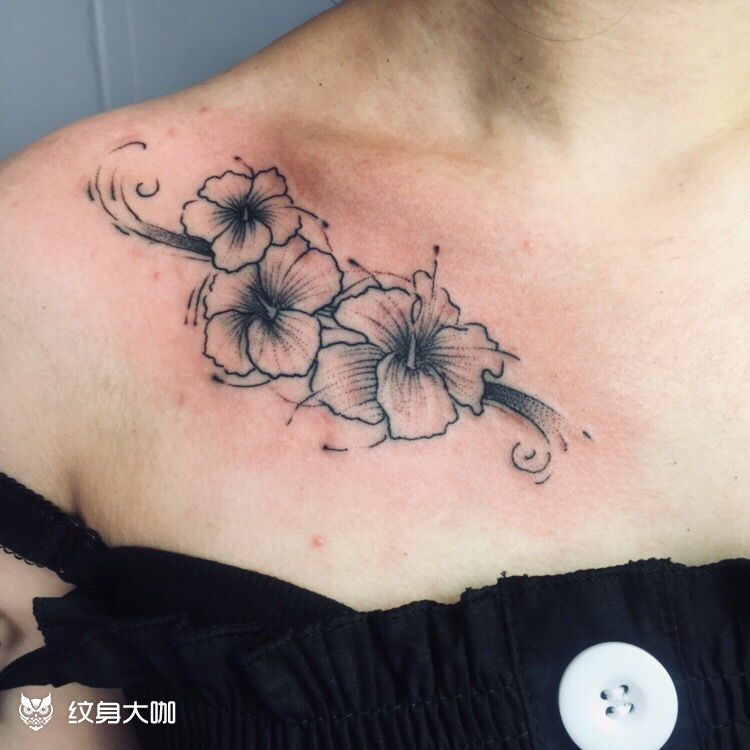 素花_纹身图案手稿图片_t-attoo的纹身作品集