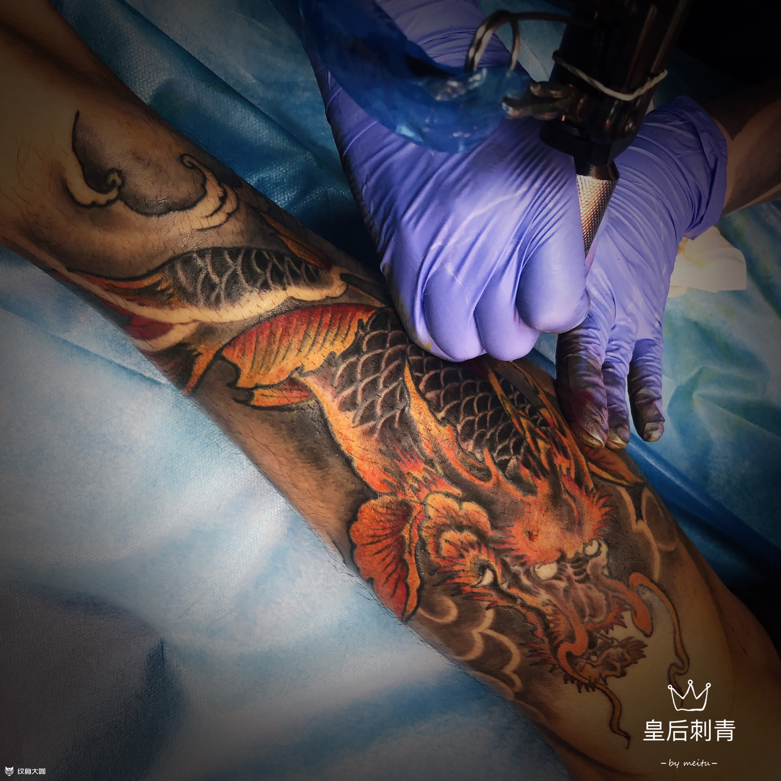 鱼化龙_纹身图案手稿图片_queen 的纹身作品集