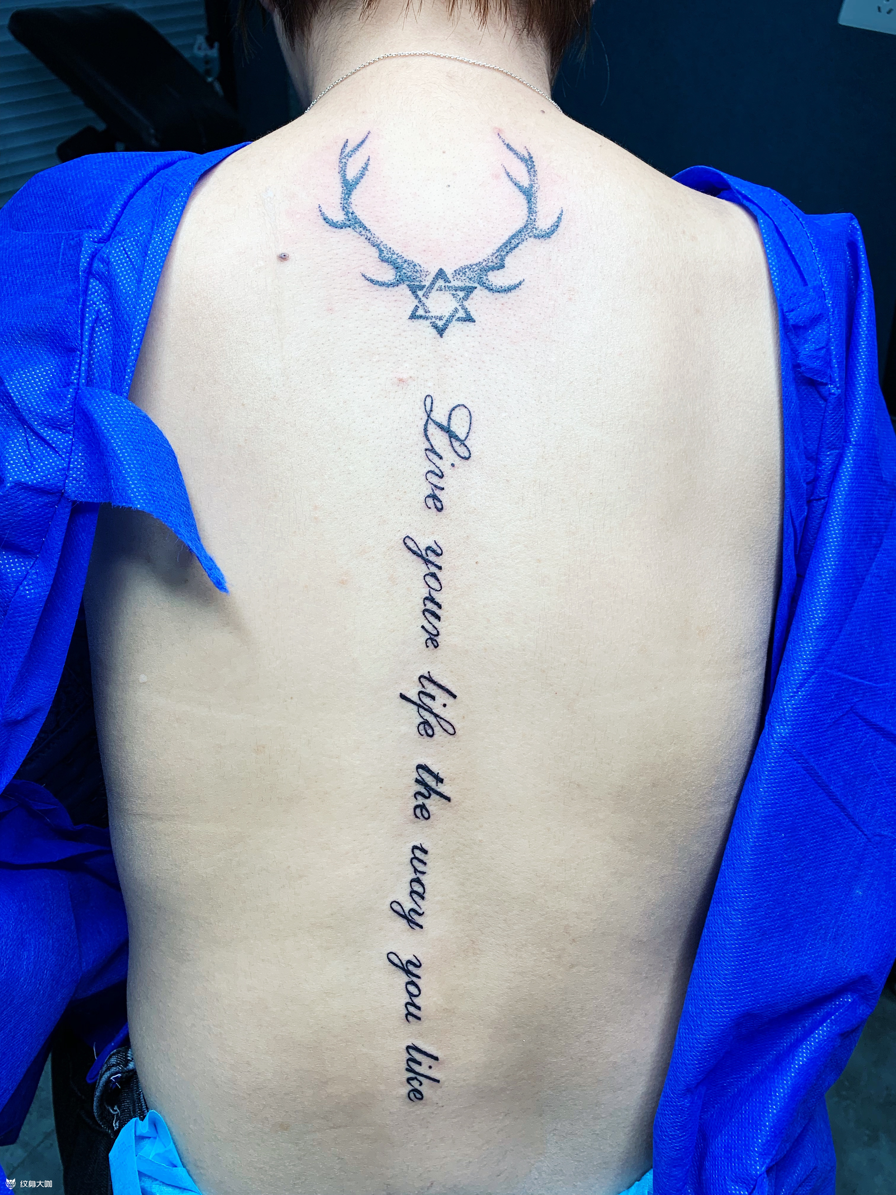 六芒星鹿角_纹身图案手稿图片_杨磊的纹身作品集