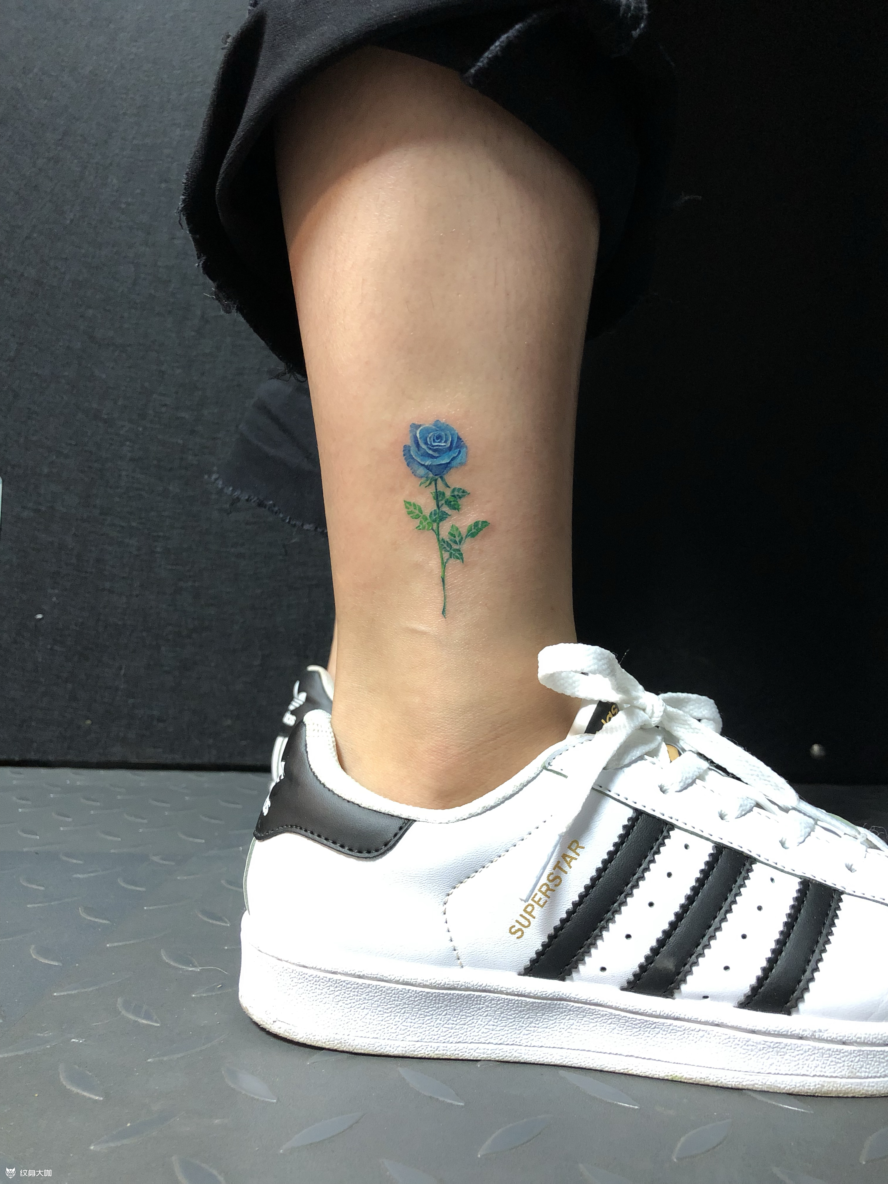 蓝色妖姬_纹身图案手稿图片_蔓草的纹身作品集