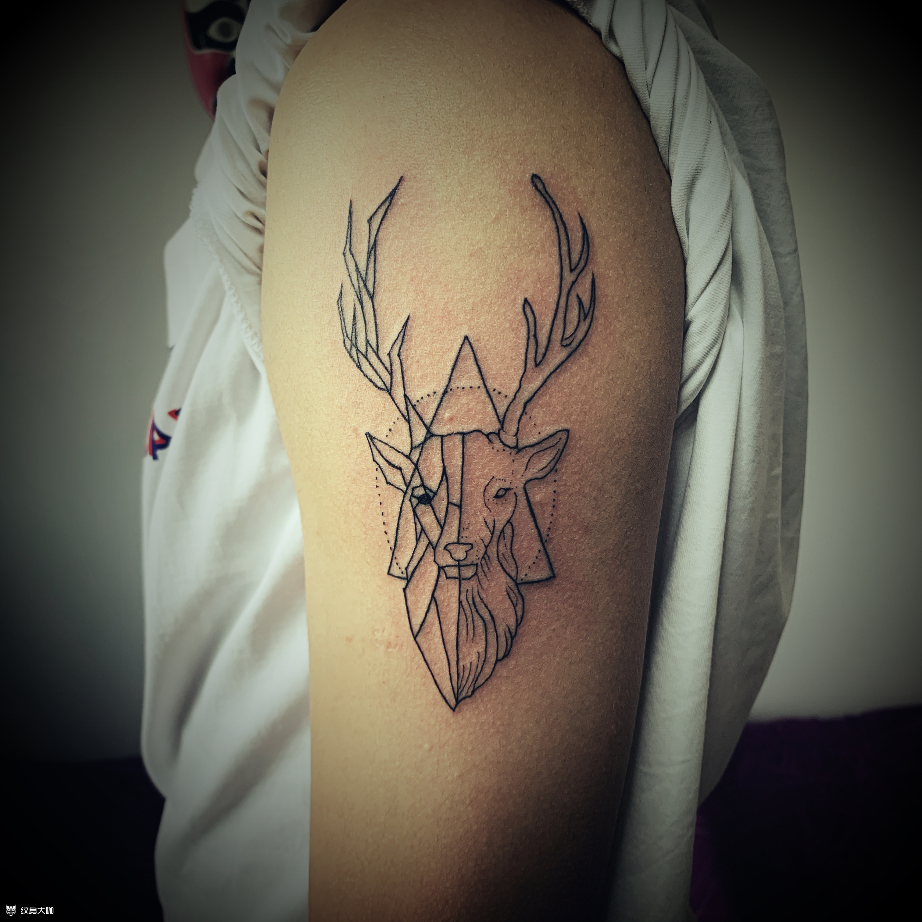 线条两面鹿头_纹身图案手稿图片_阿龙的纹身作品集