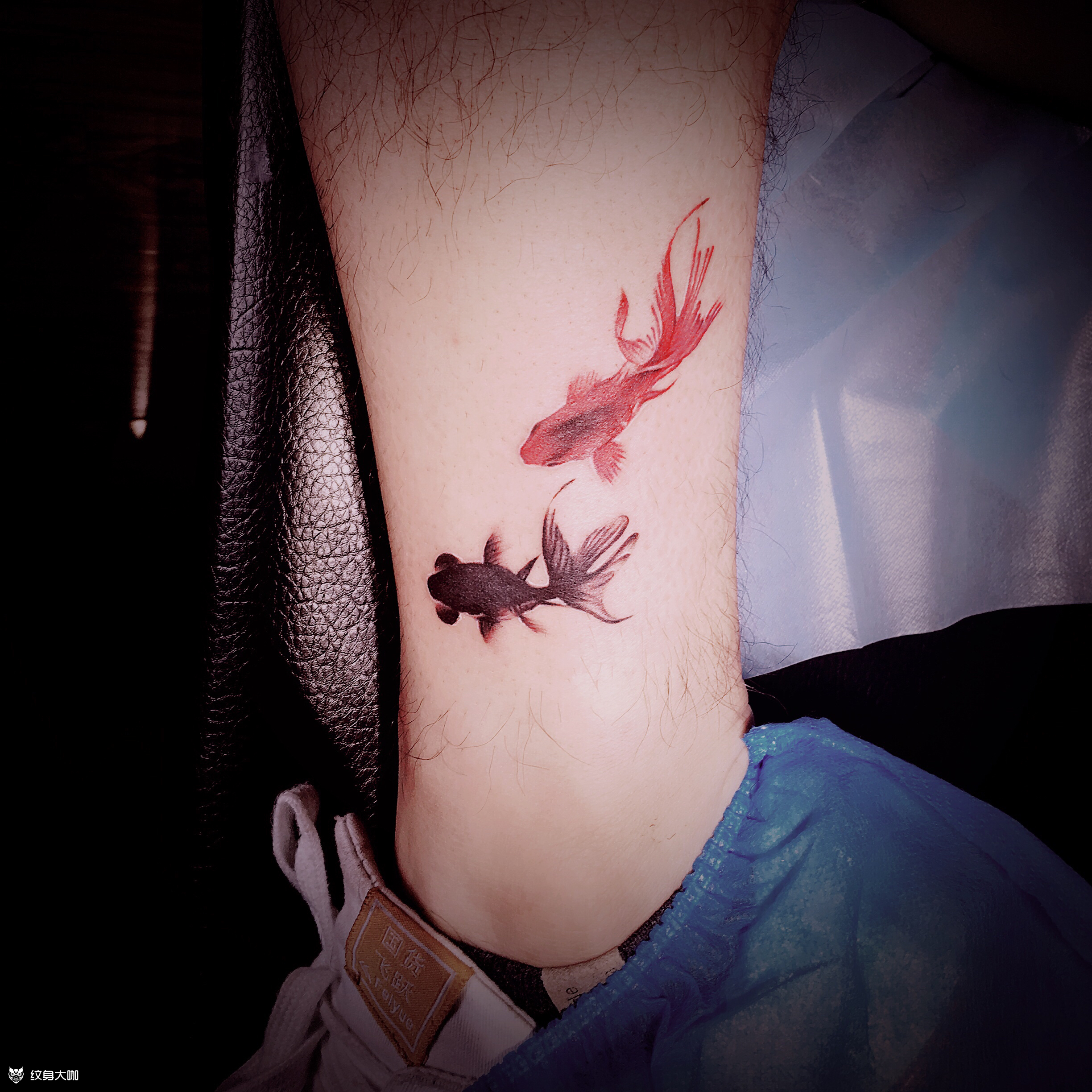 金鱼_纹身图案手稿图片_影子的纹身作品集