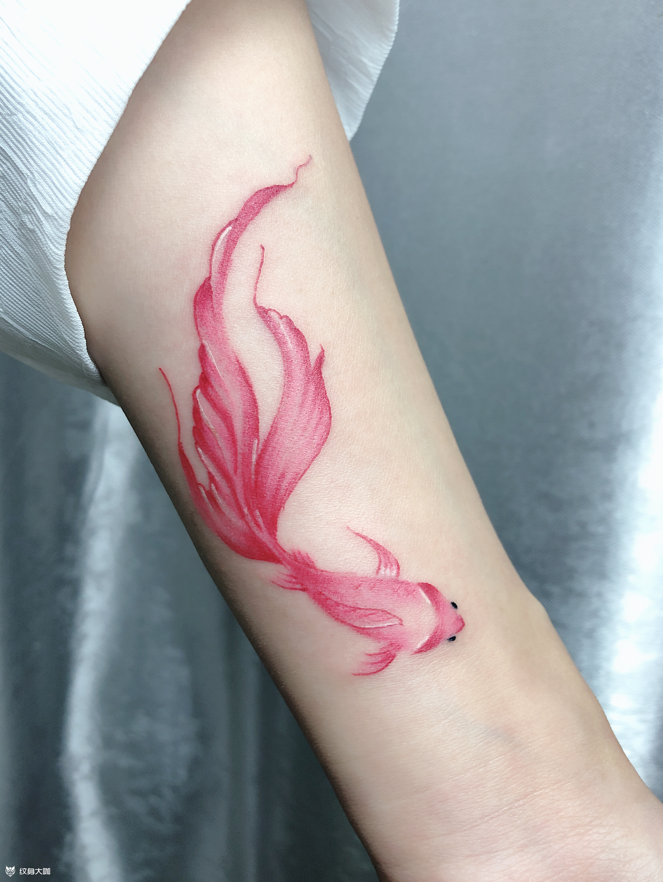 金鱼_纹身图案手稿图片_kk的纹身作品集