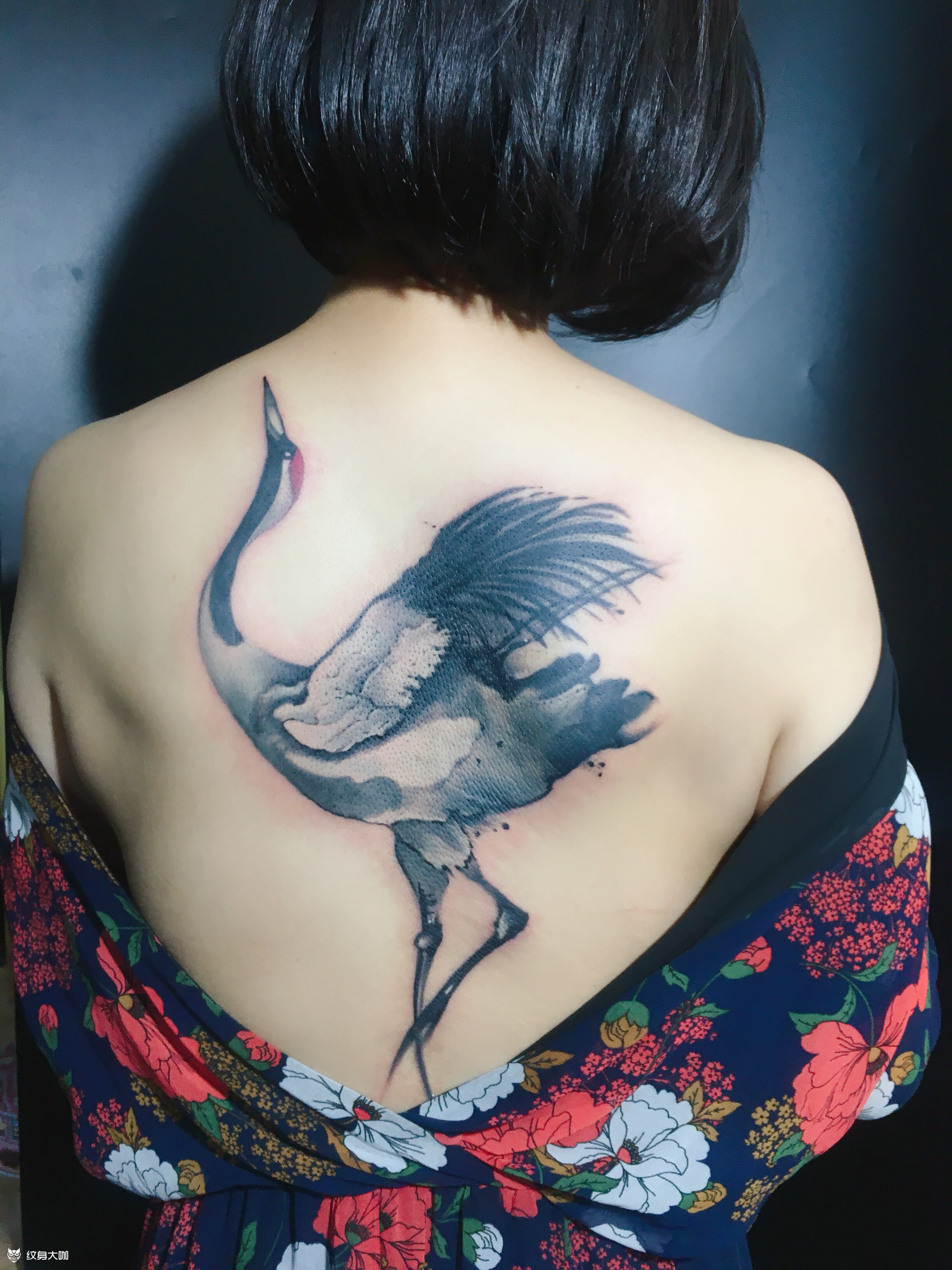 仙鹤_纹身图案手稿图片_佛爷的纹身作品集