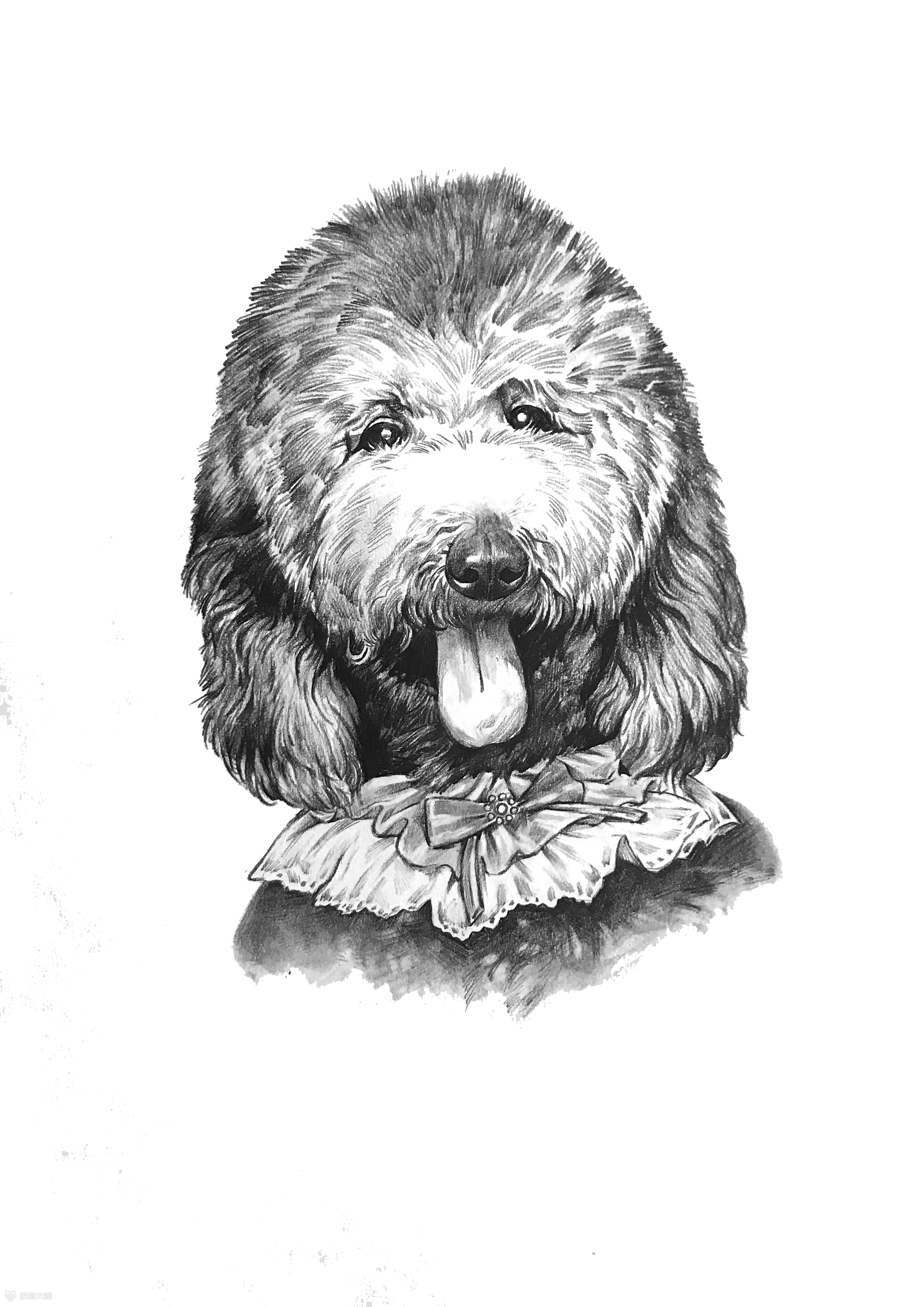 为客人绘制的素描手稿