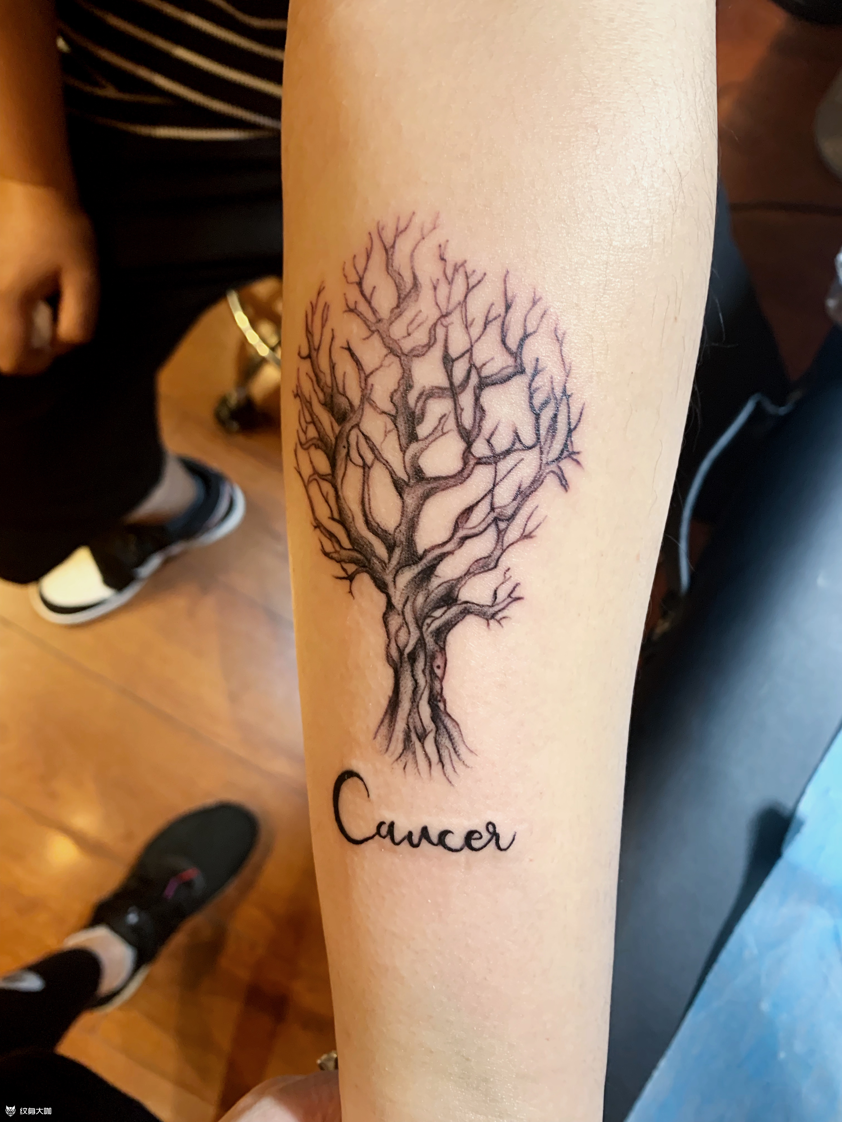 枯树_纹身图案手稿图片_小鱼儿 的纹身作品集
