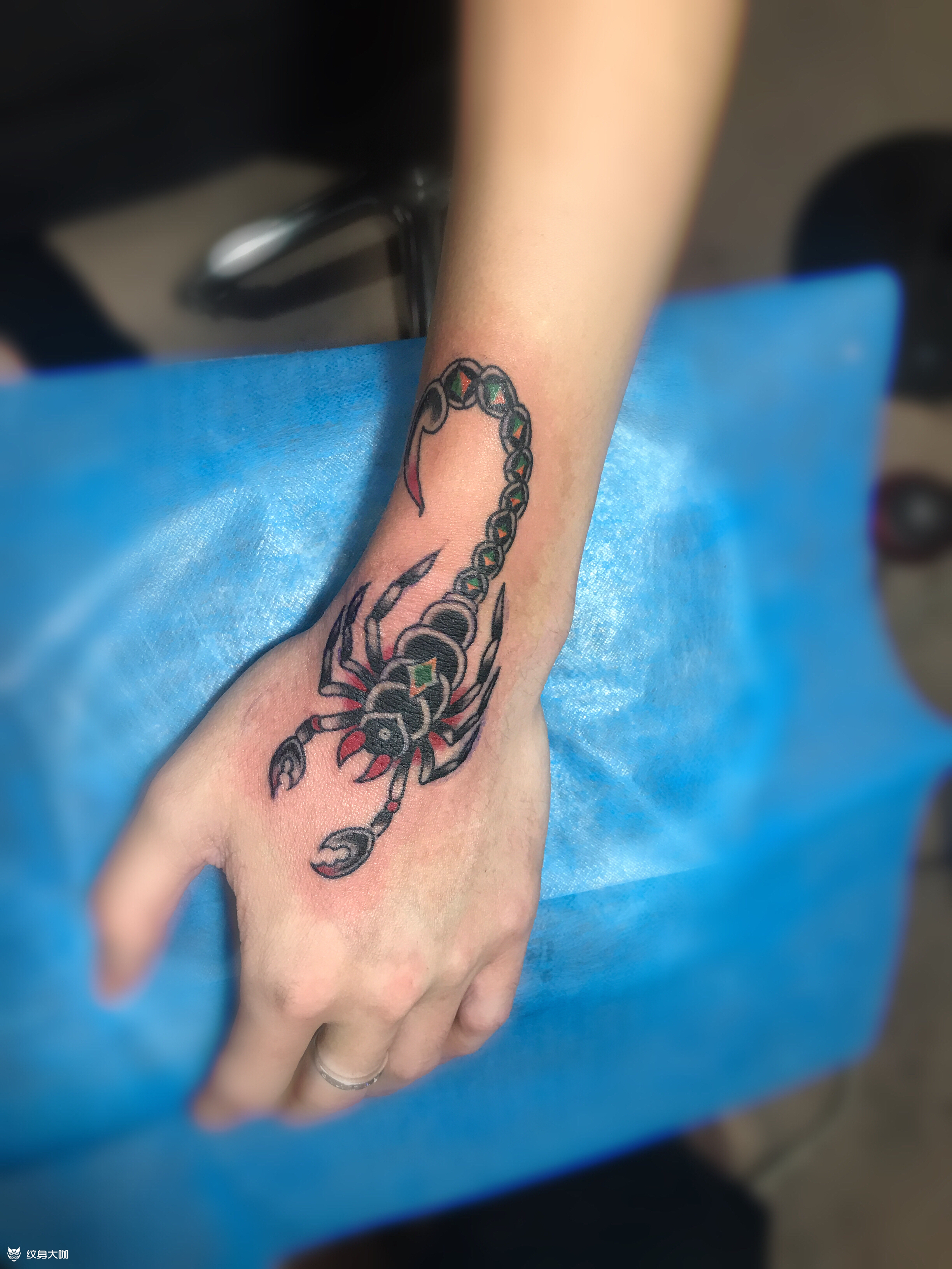 蝎子_纹身图案手稿图片_陈新强的纹身作品集