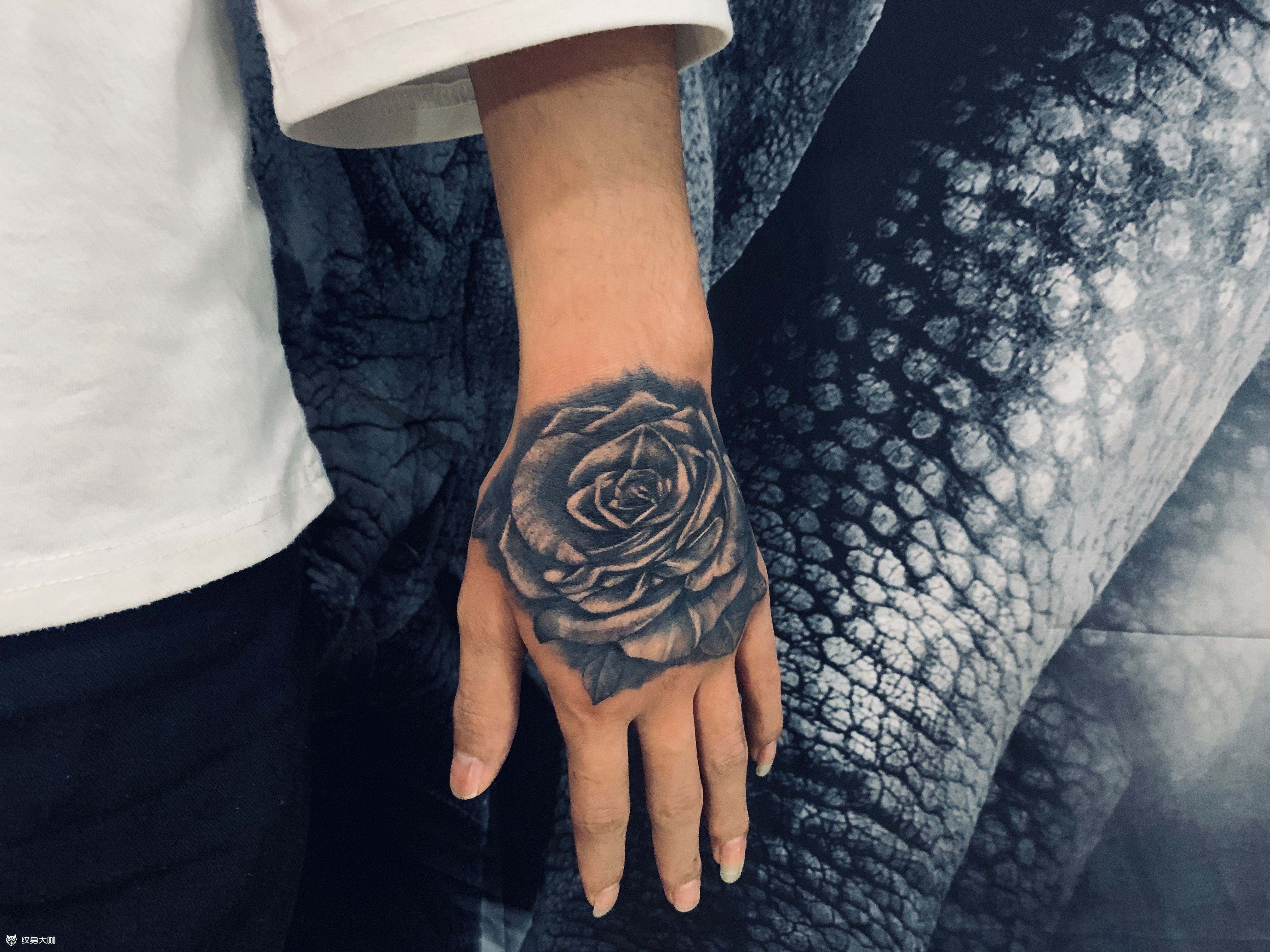手背·玫瑰_纹身图案手稿图片_伍家龙的纹身作品集